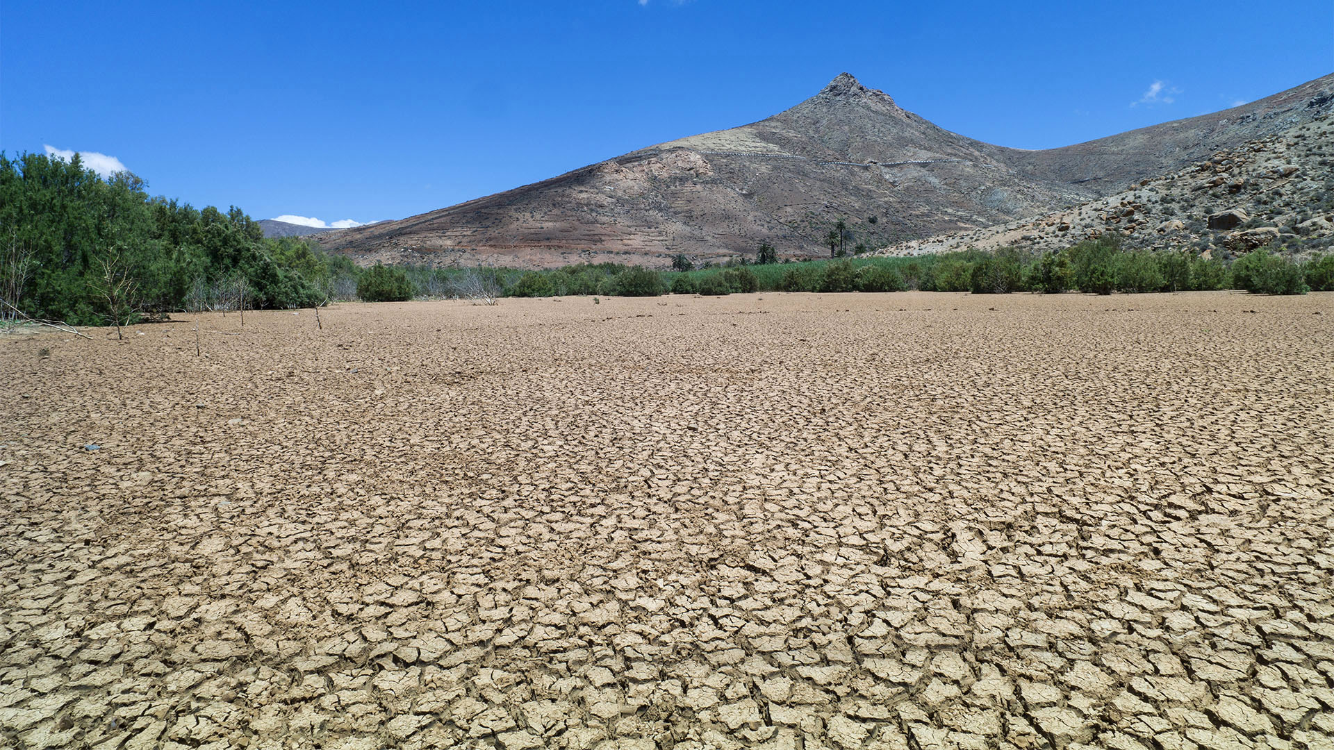 Sehenswürdigkeiten Fuerteventuras: Vega de Río Palmas – Mirador Risco de las Peñas