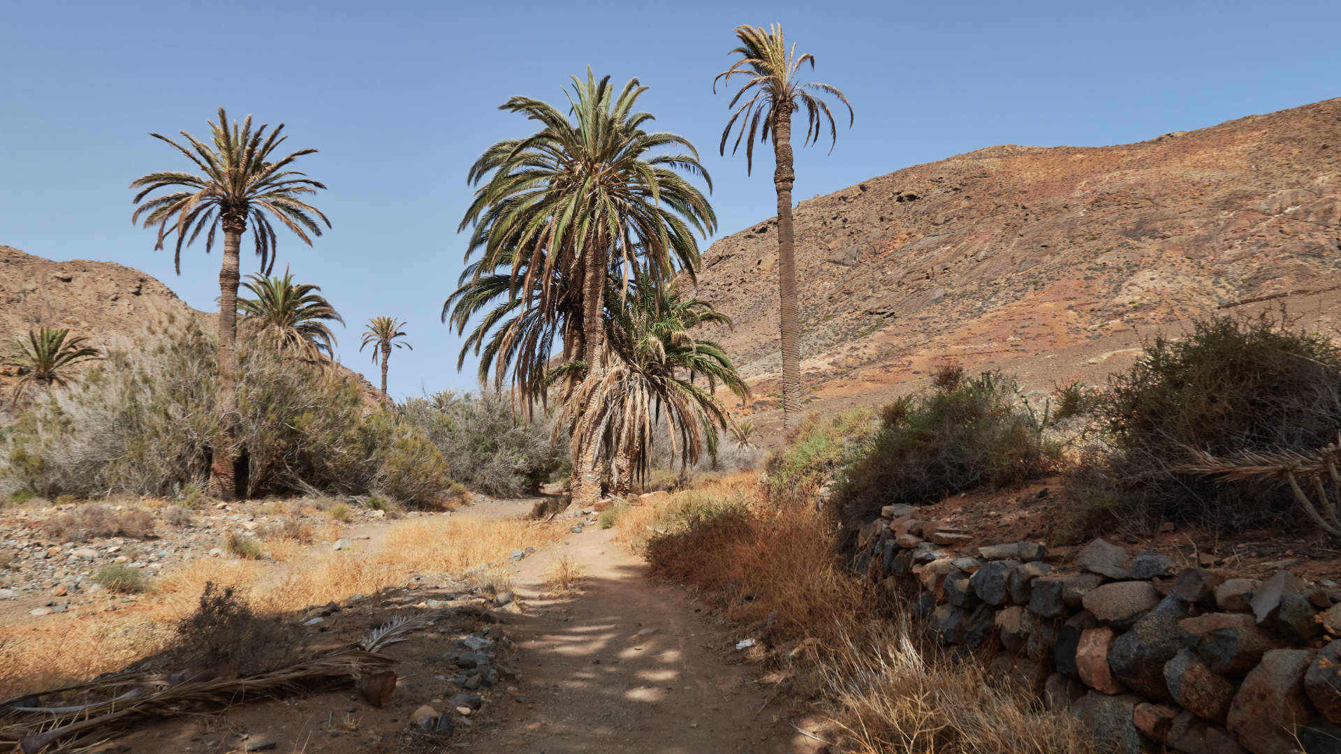 Barranco de las Peñitas Fuerteventura gegen Mittag.