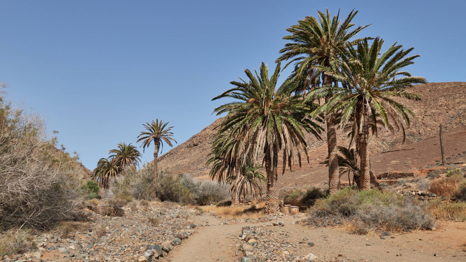 Barranco de las Peñitas Fuerteventura gegen Mittag.