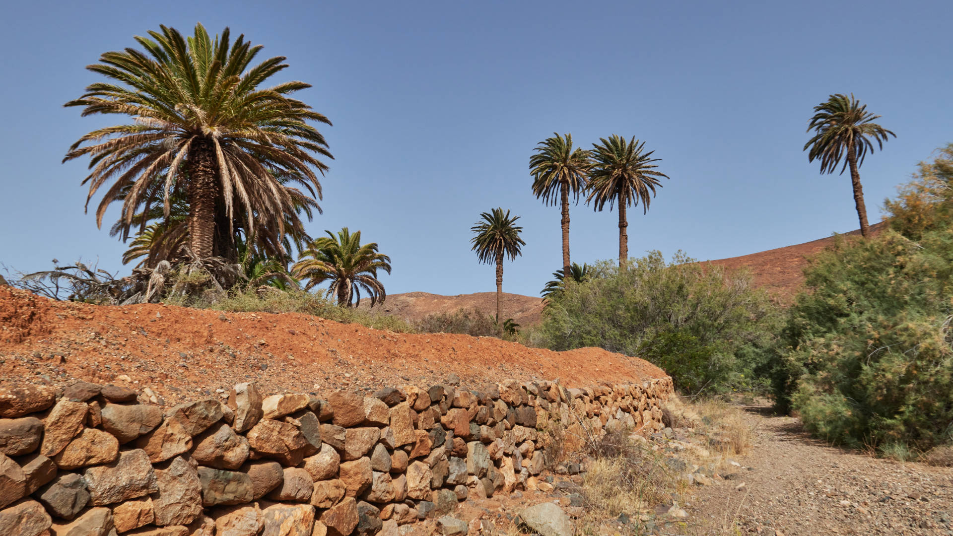 Barranco de las Peñitas Fuerteventura gegen Mittag.