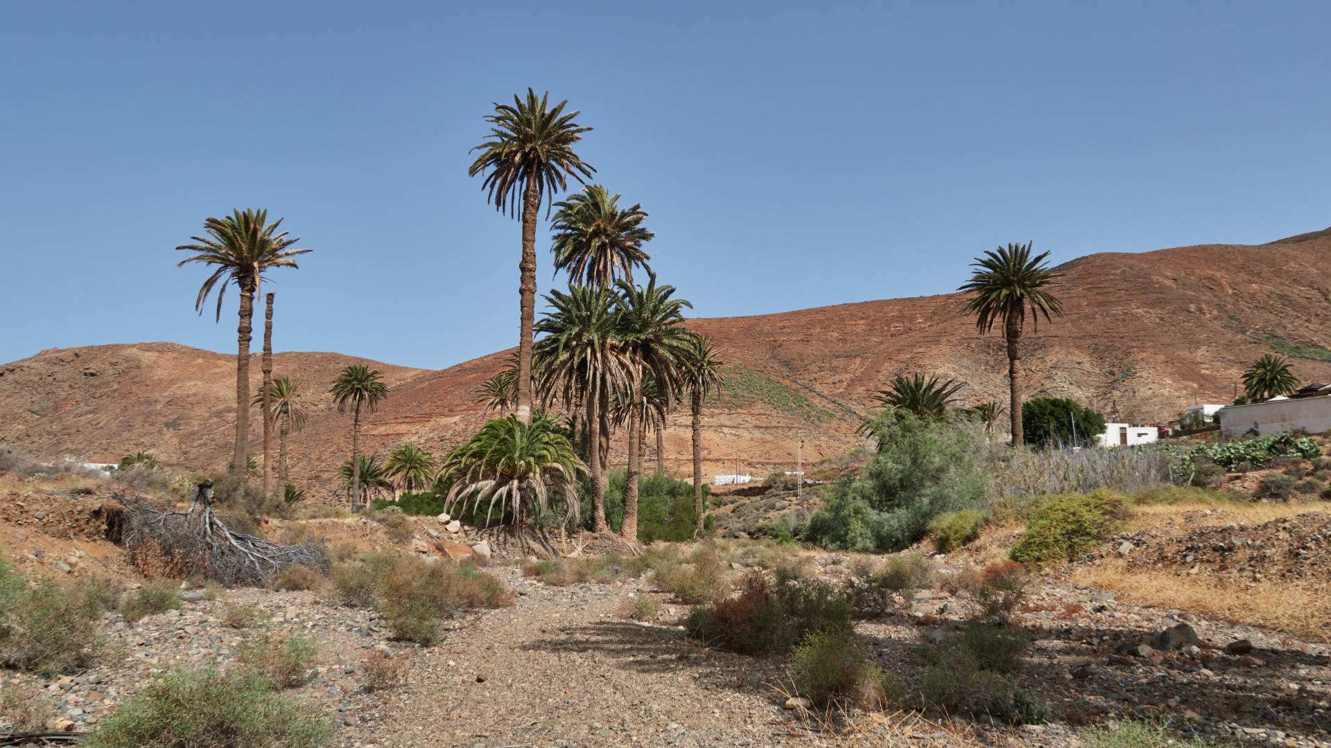 Barranco de las Peñitas Fuerteventura gegen Mittag.