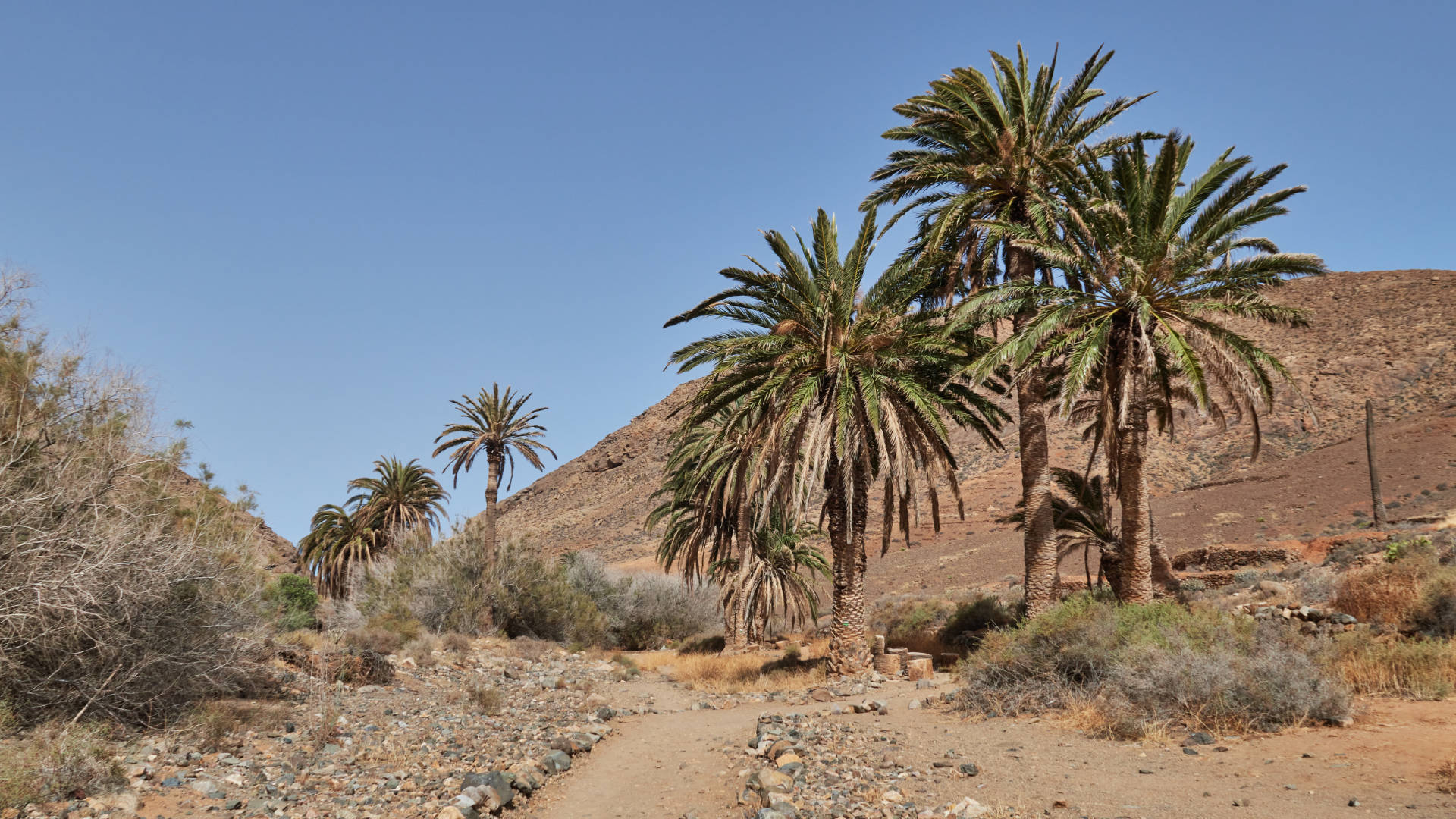 Barranco de las Peñitas Fuerteventura gegen Mittag.