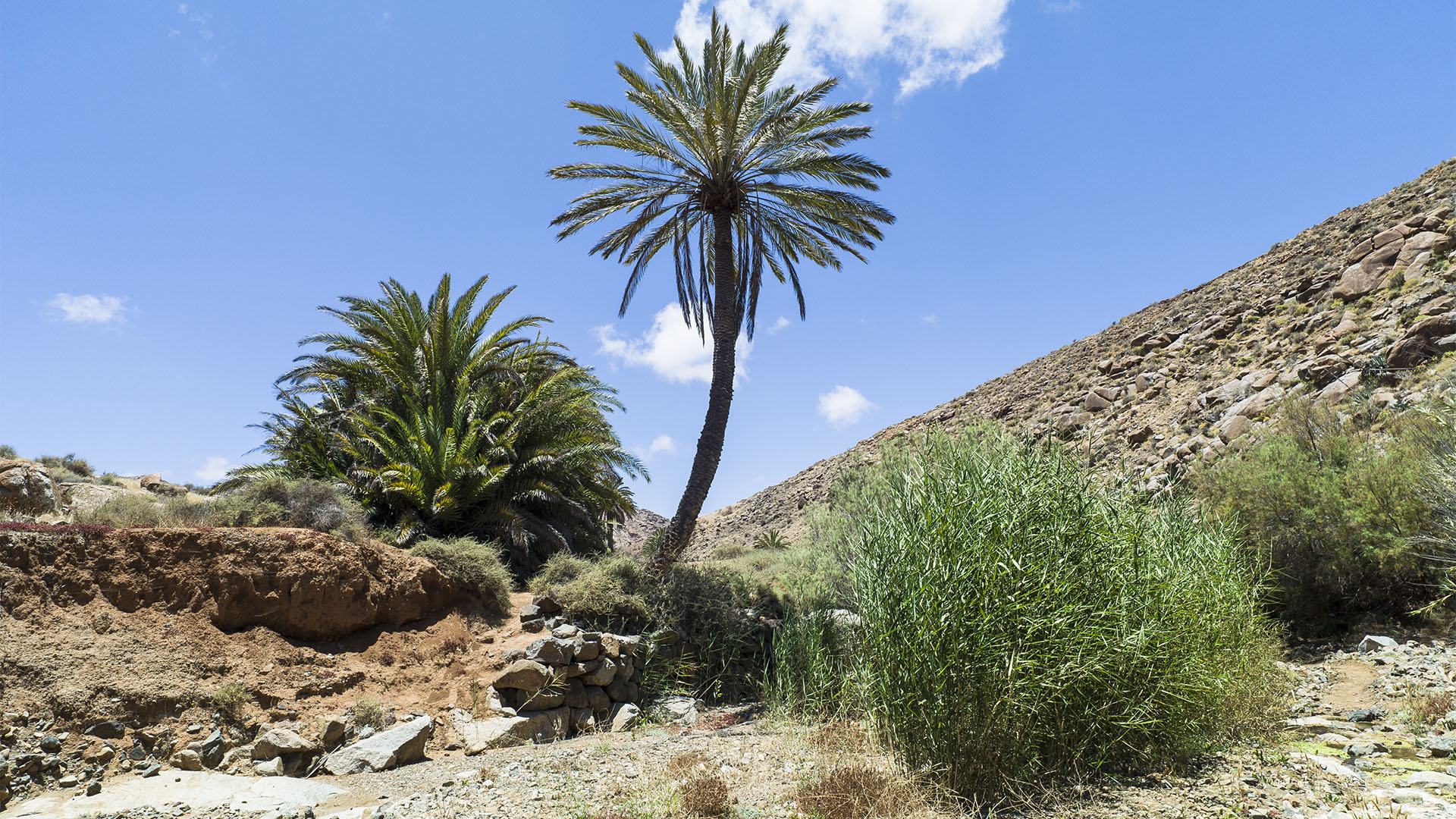 Barranco de las Peñitas Fuerteventura gegen Mittag.