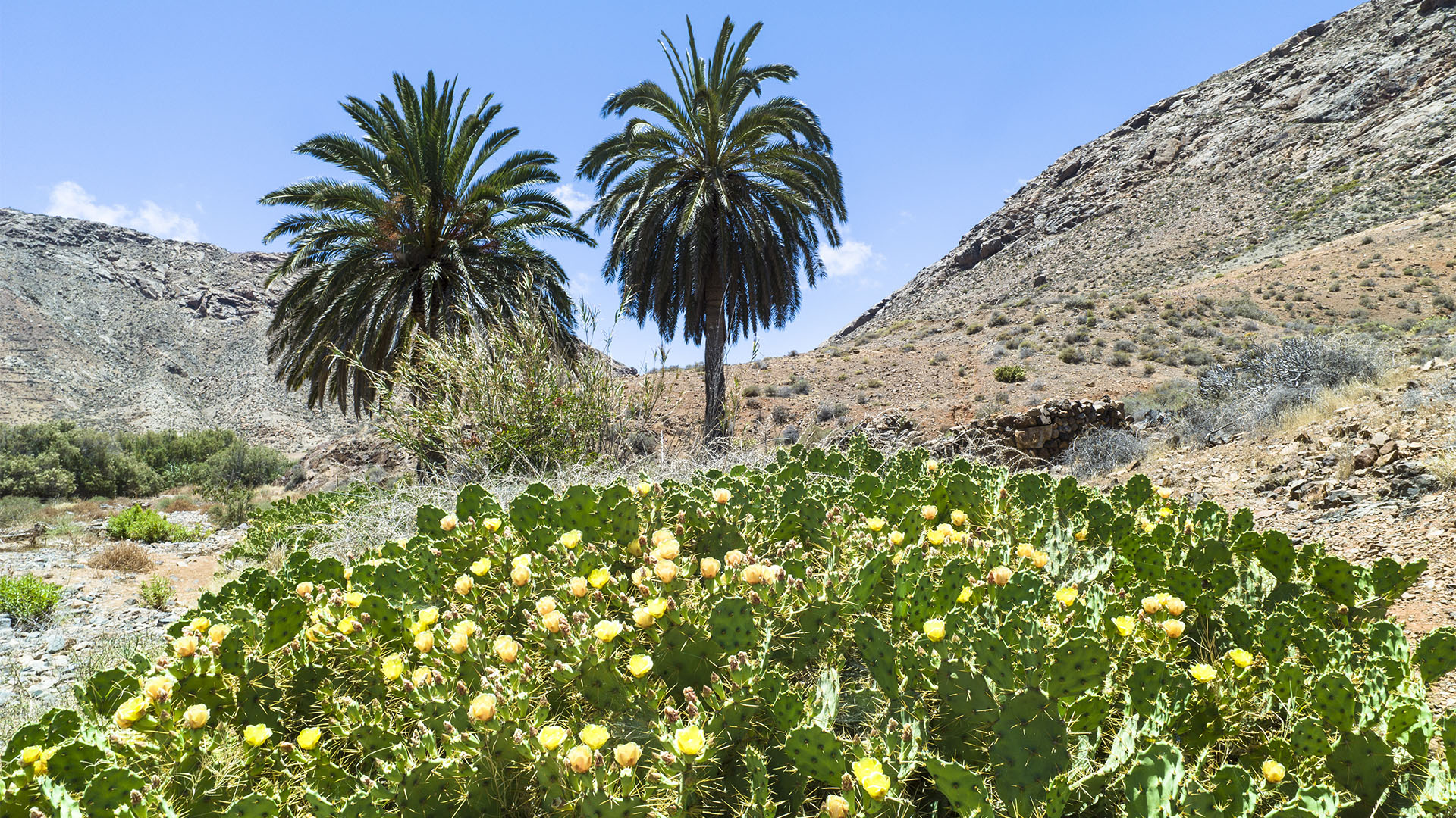 Barranco de las Peñitas Fuerteventura gegen Mittag.