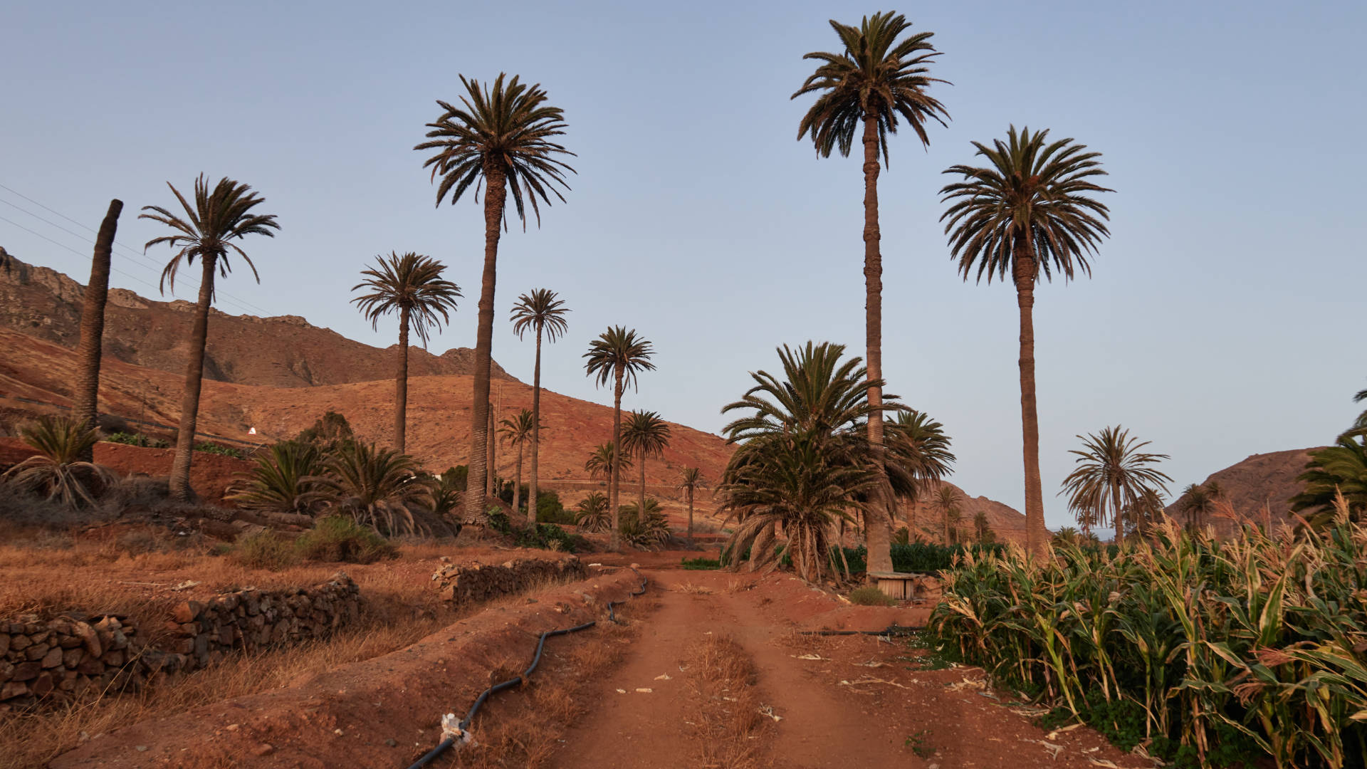 Barranco de las Peñitas bei Sonnenaufgang.