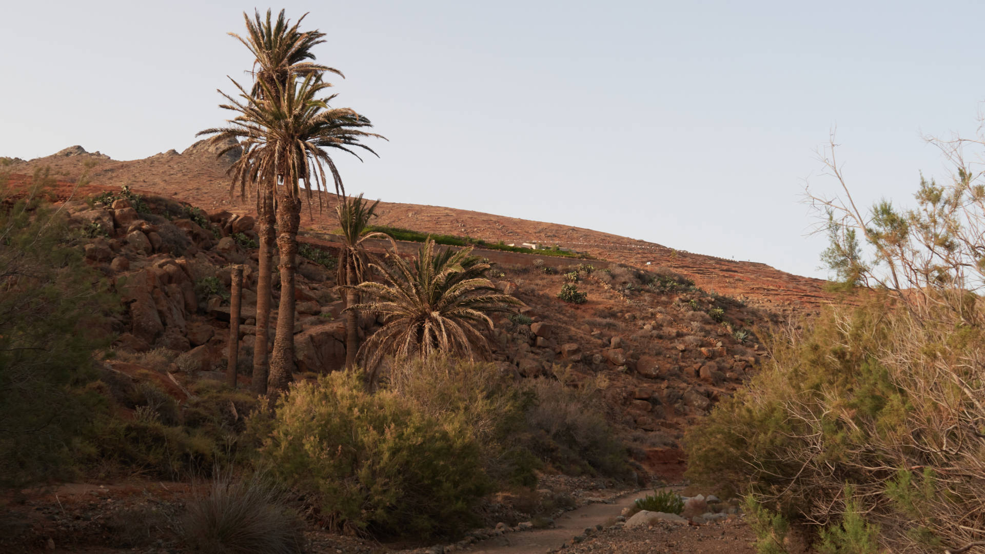 Barranco de las Peñitas bei Sonnenaufgang.