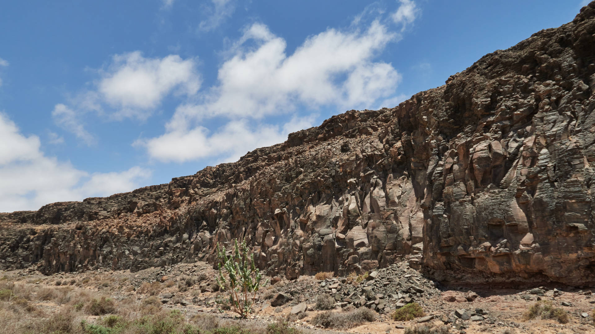 Der Barranco de la Torre nahe Salinas del Carmen Fuerteventura.