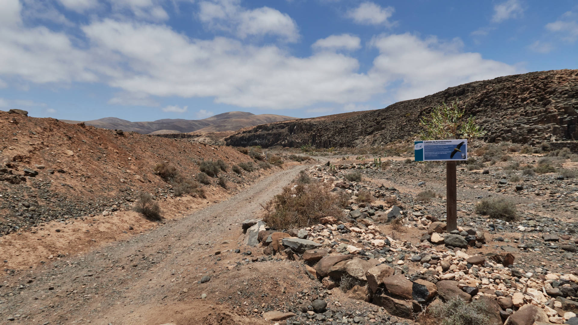 Der Barranco de la Torre nahe Salinas del Carmen Fuerteventura.