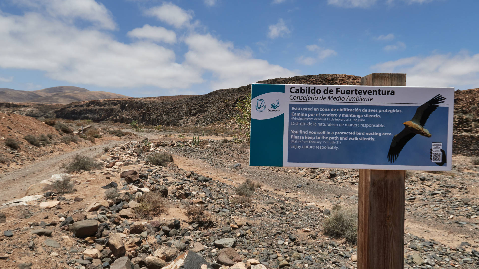 Der Barranco de la Torre nahe Salinas del Carmen Fuerteventura.