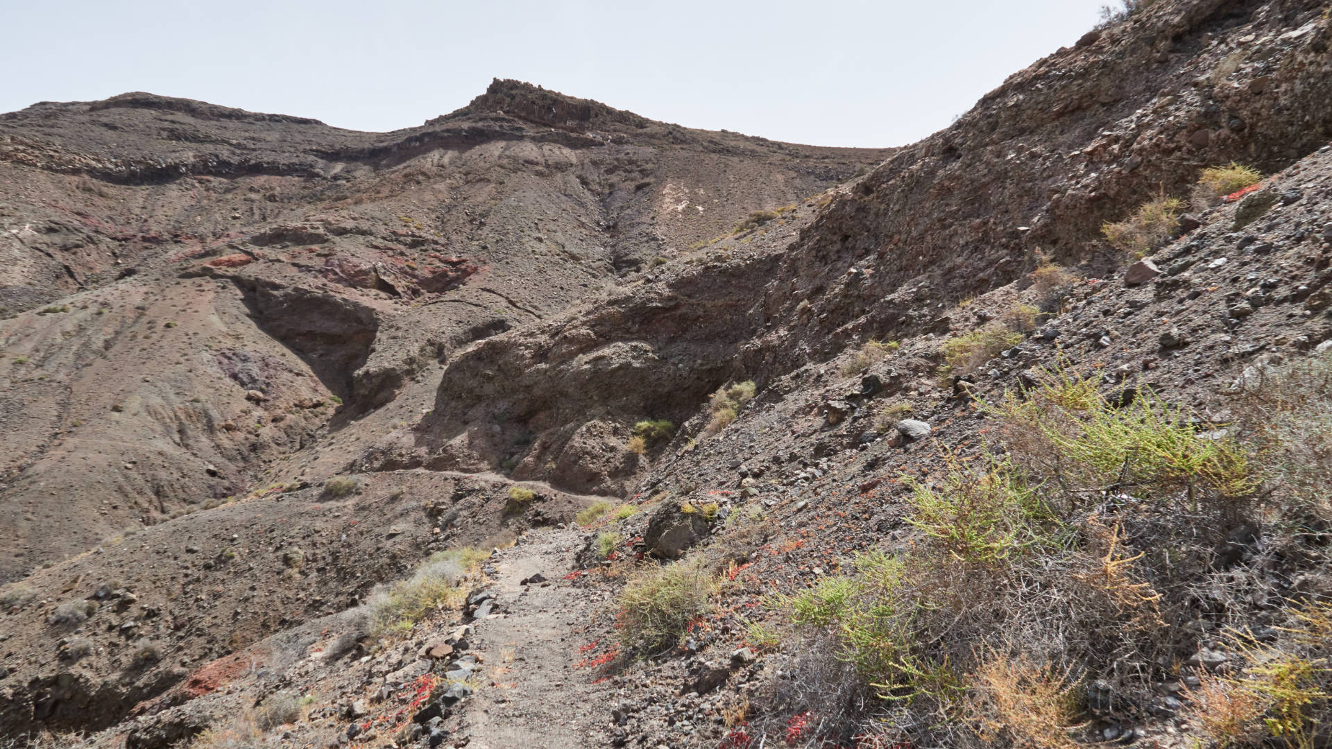 Fuentes de Los Pocitos La Ampuyenta Fuerteventura.