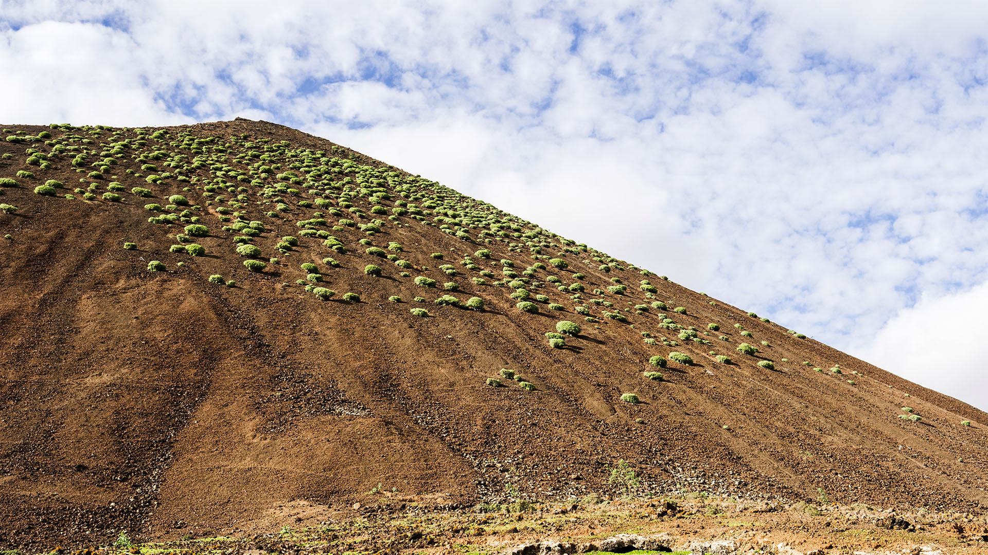 Sehenswürdigkeiten Fuerteventuras: Tiscamanita – Caldera de Gairía