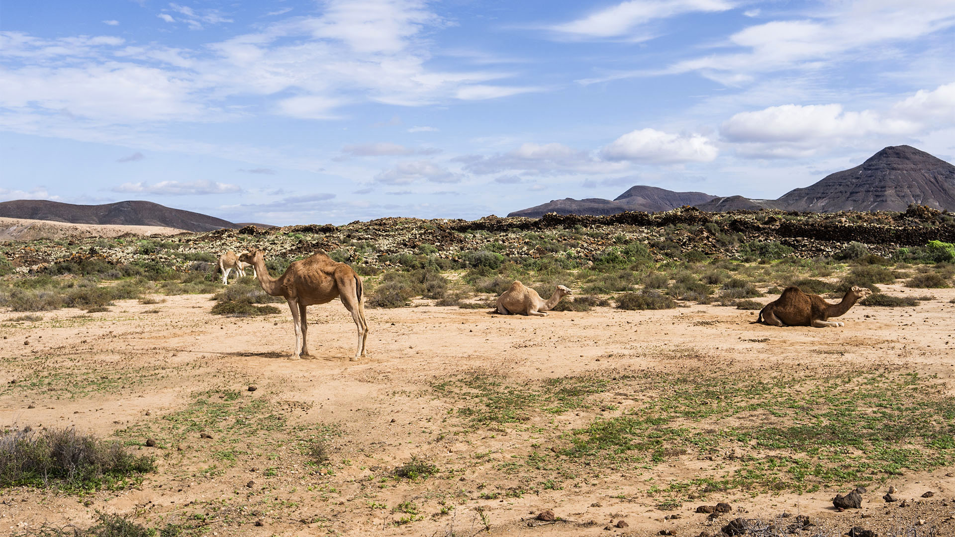 Sehenswürdigkeiten Fuerteventuras: Tiscamanita – Caldera de Gairía