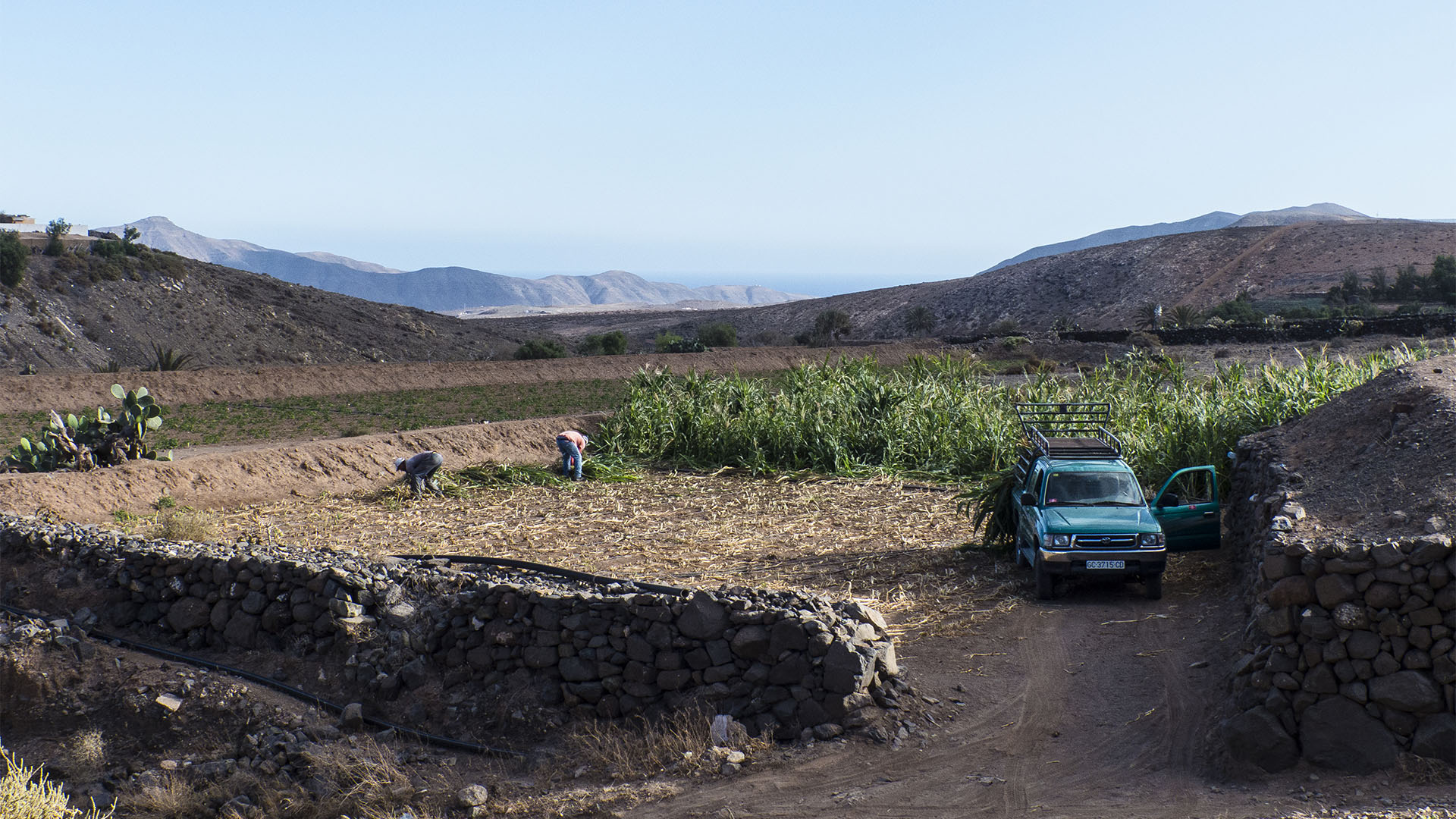 Sehenswürdigkeiten Fuerteventuras: El Cardon – Degollada de Las Bujas