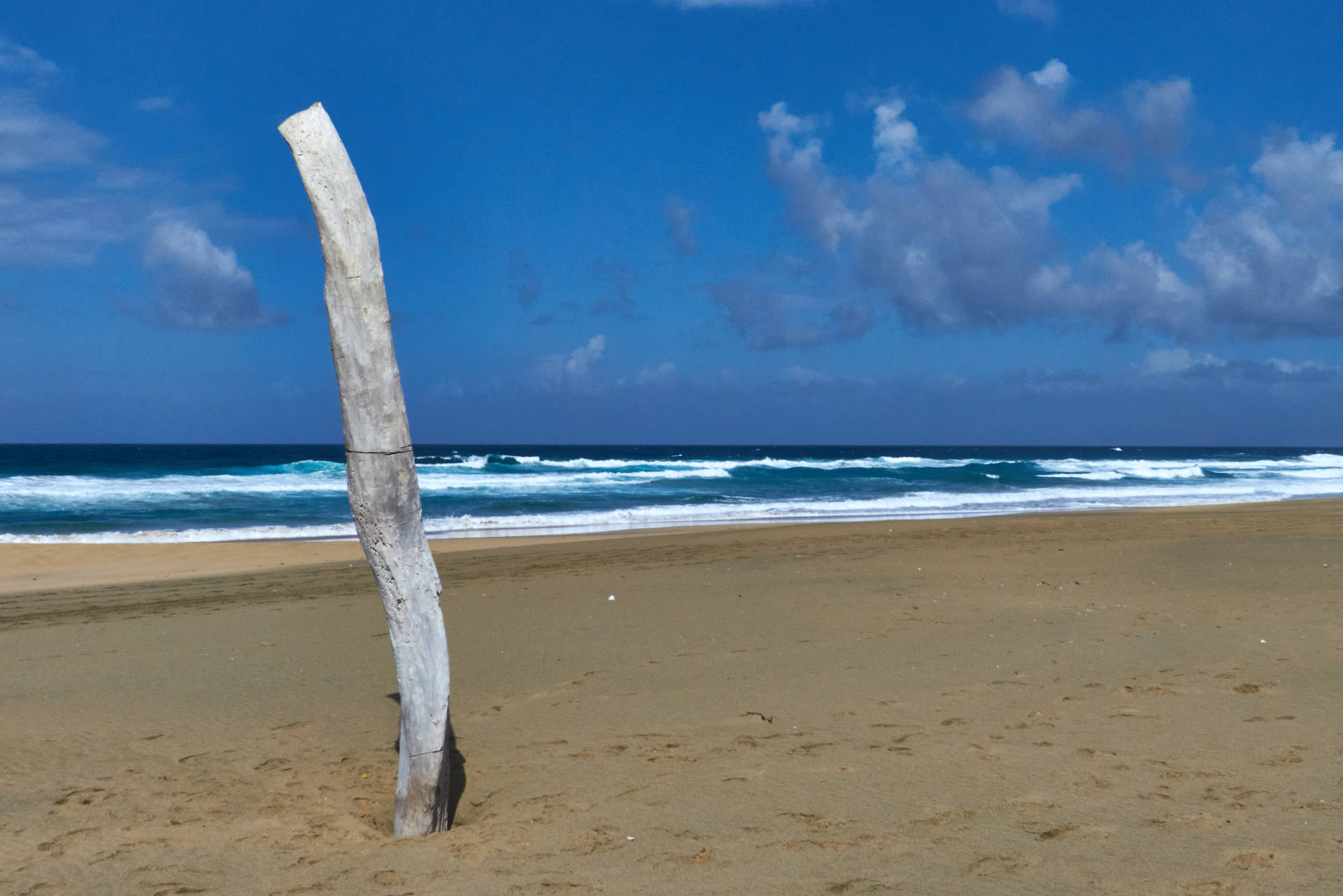 Playa de Cofete – mysteriöser Pfahl in der sandigen Weite am Roque del Moro.
