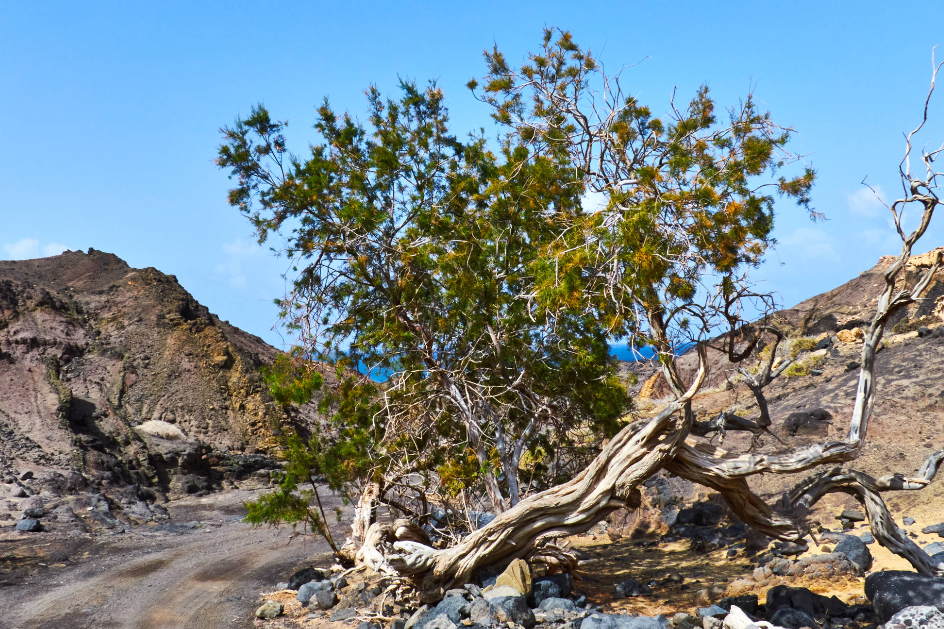 Durch den namenlosen barranco zum Playa de Cofete.