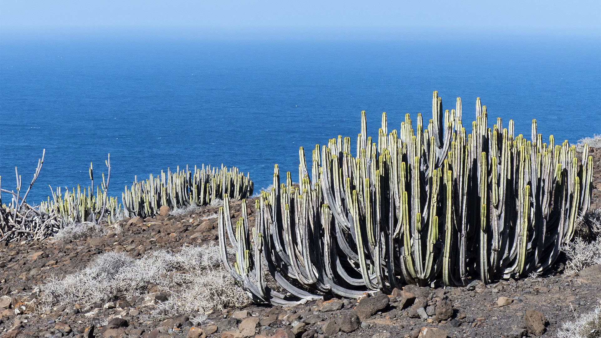 Sehenswürdigkeiten Fuerteventuras: Jandía – Roque del Moro