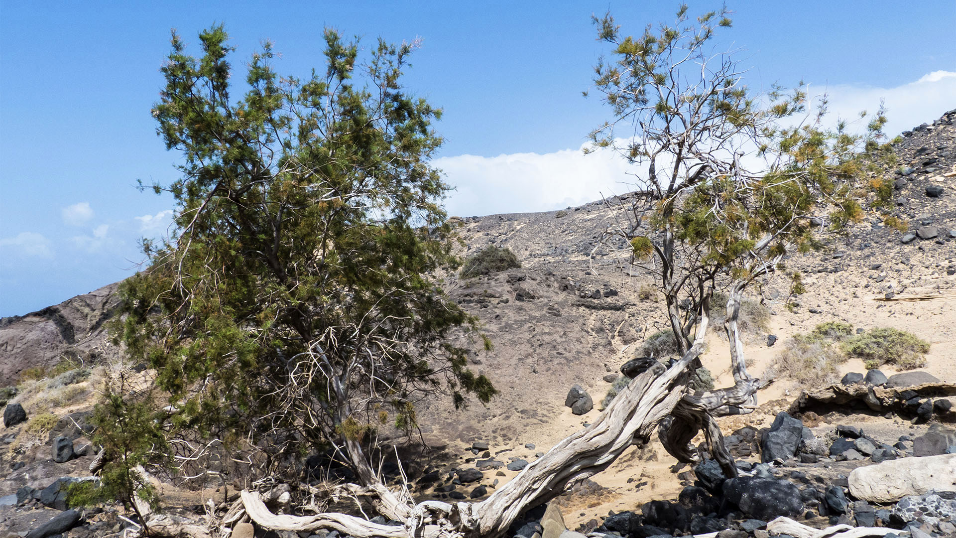 Sehenswürdigkeiten Fuerteventuras: Jandía – Roque del Moro