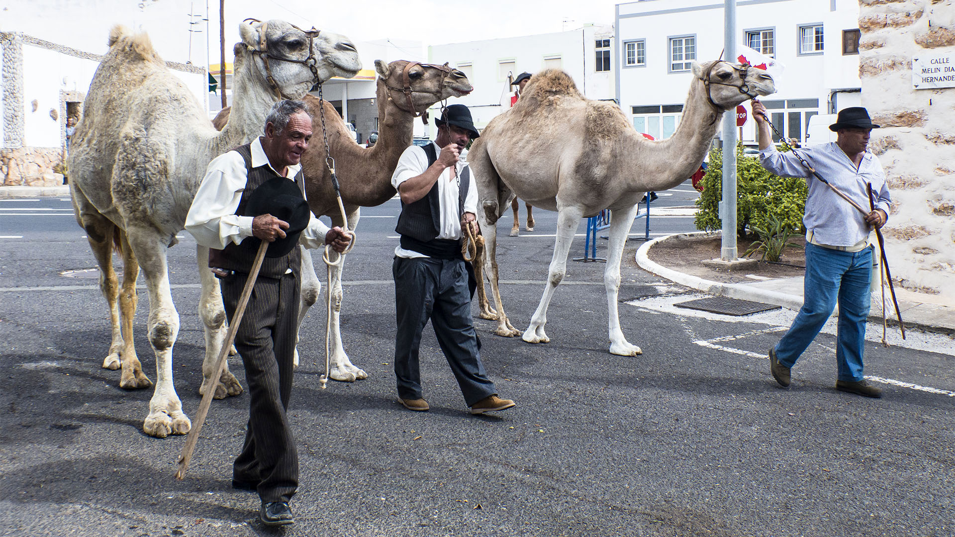 Sehenswürdigkeiten Fuerteventura – Tuineje Fiesta San Miguel – Batallas del Cuchillete y Tamasite.