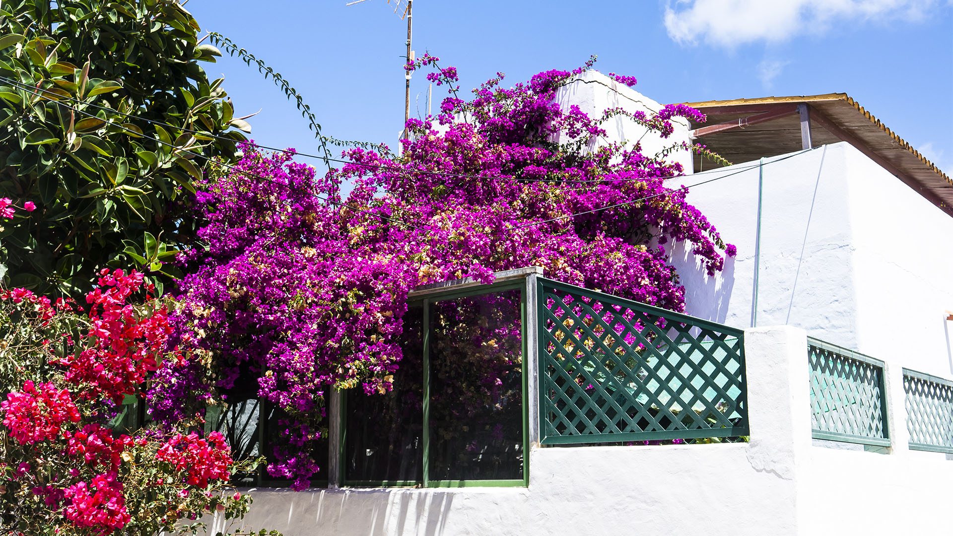 Der Ort Corralejo Fuertventura: Corralejo viejo