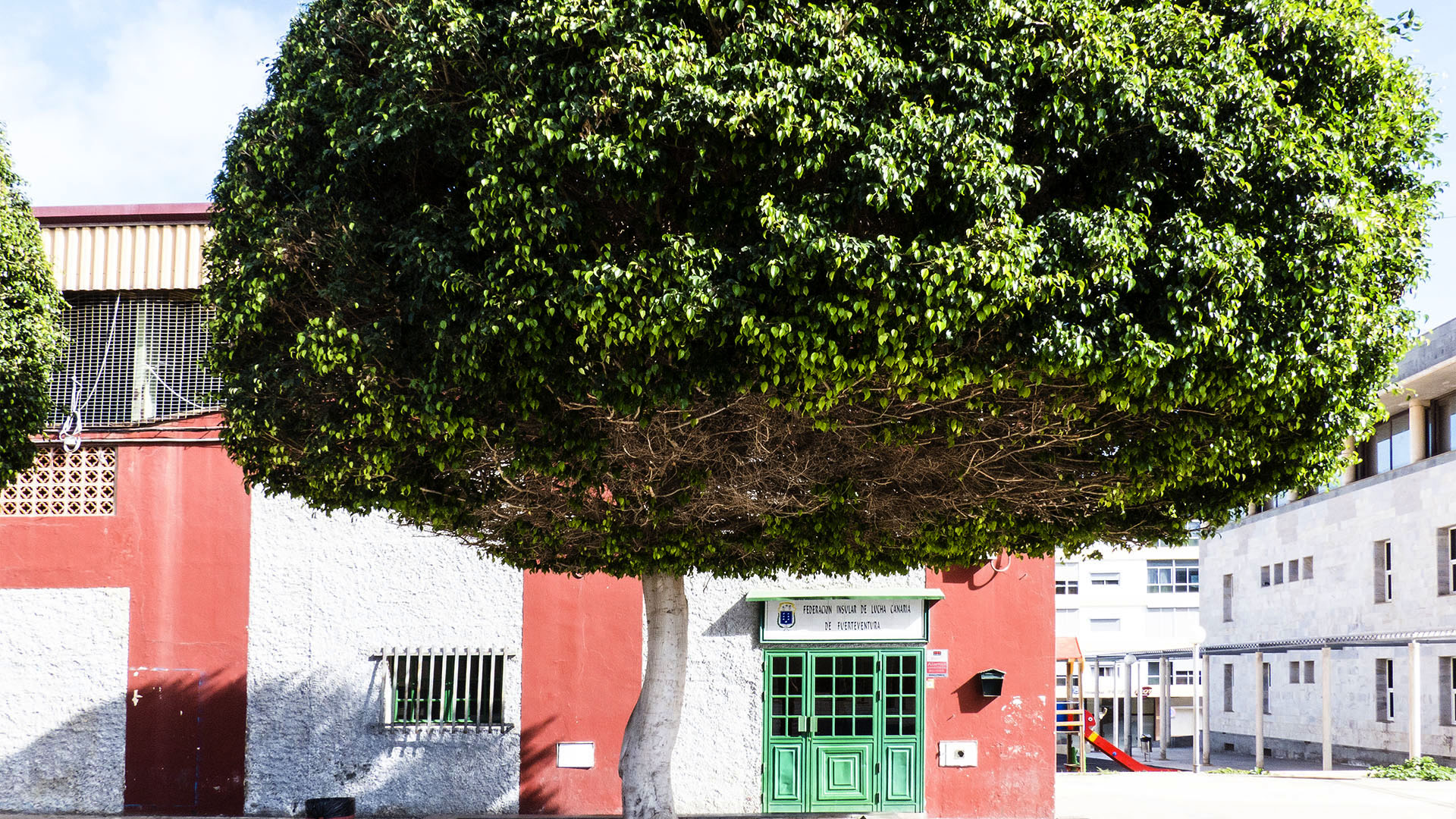 Ringkampfarena – Terrero de lucha Puerto de Cabras.