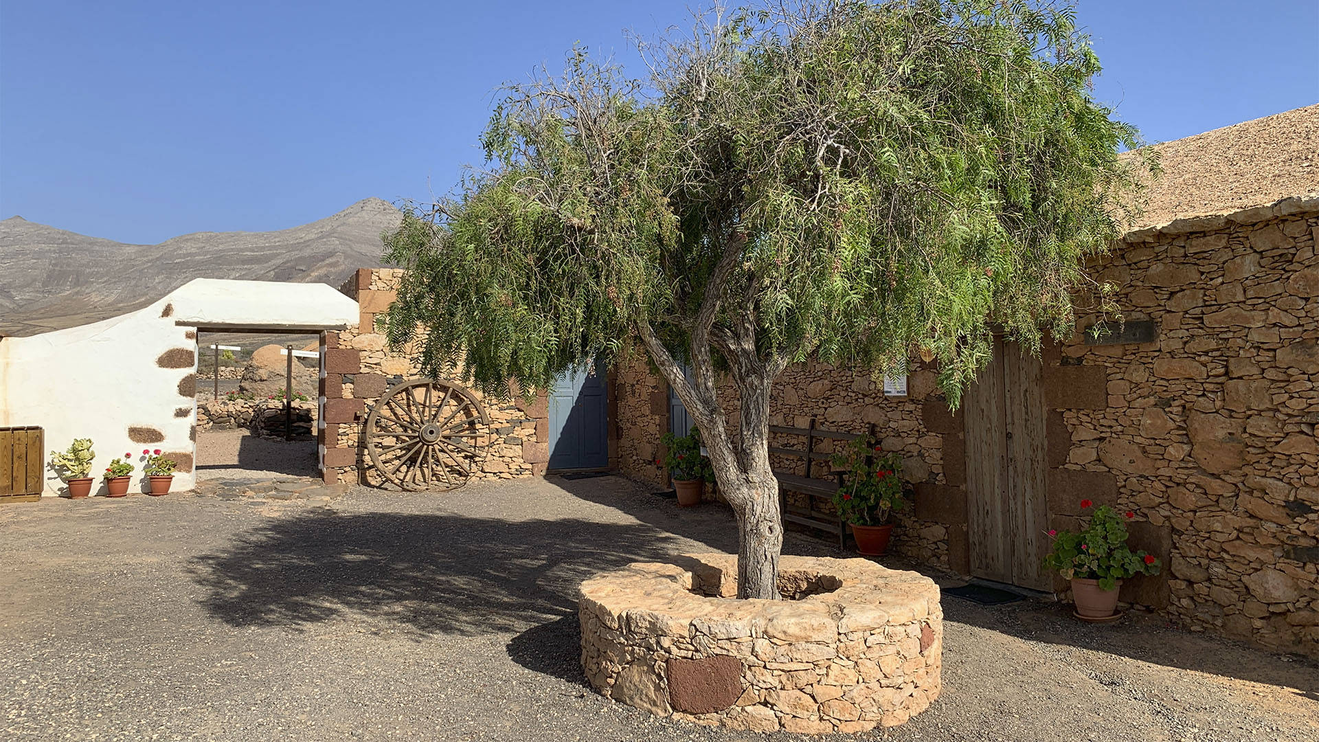 Ecomuseo La Alcogida Tefía Fuerteventura.