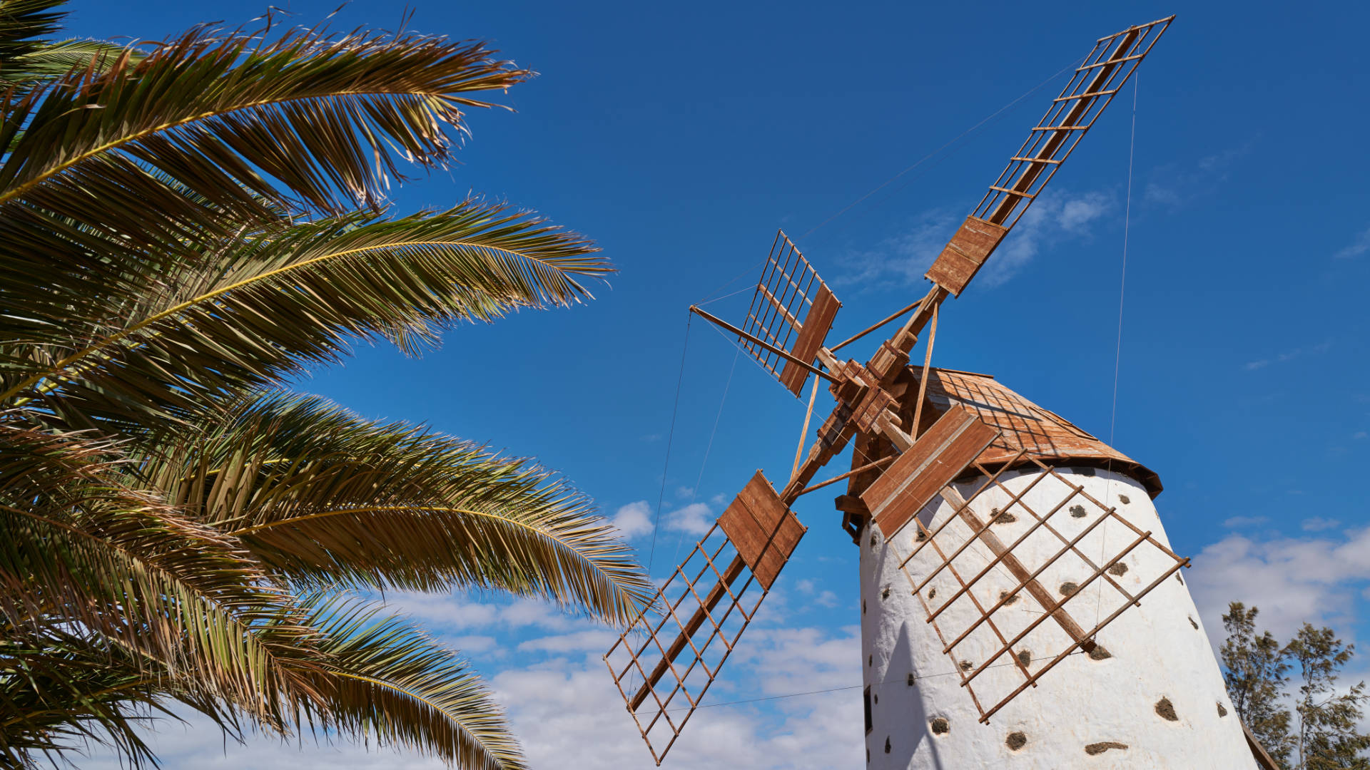 Die Windmühle von El Roque auf Fuerteventura.