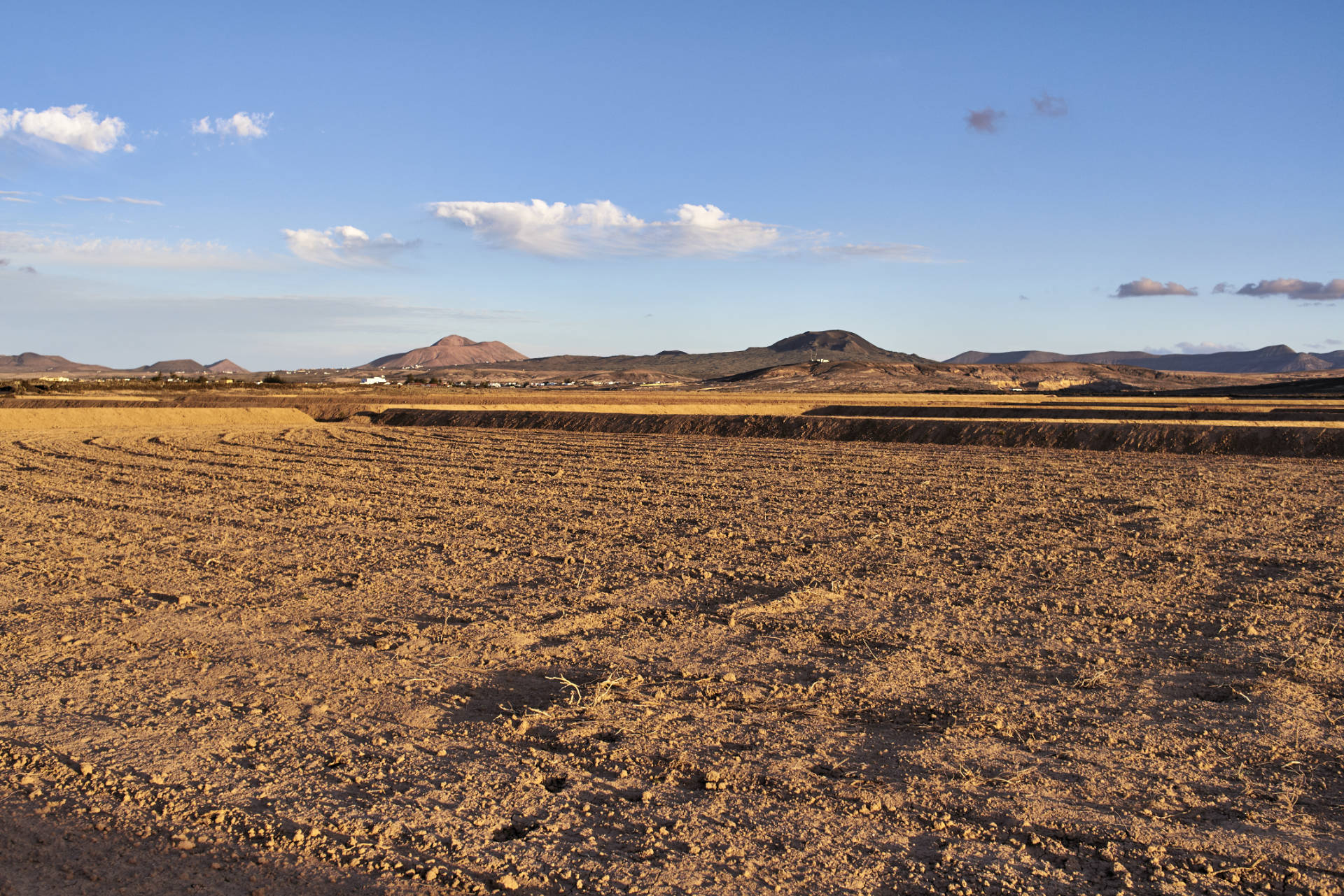 Landwirtschaft um Lajares Fuerteventura im Streiflicht der untergehenden Sonne.