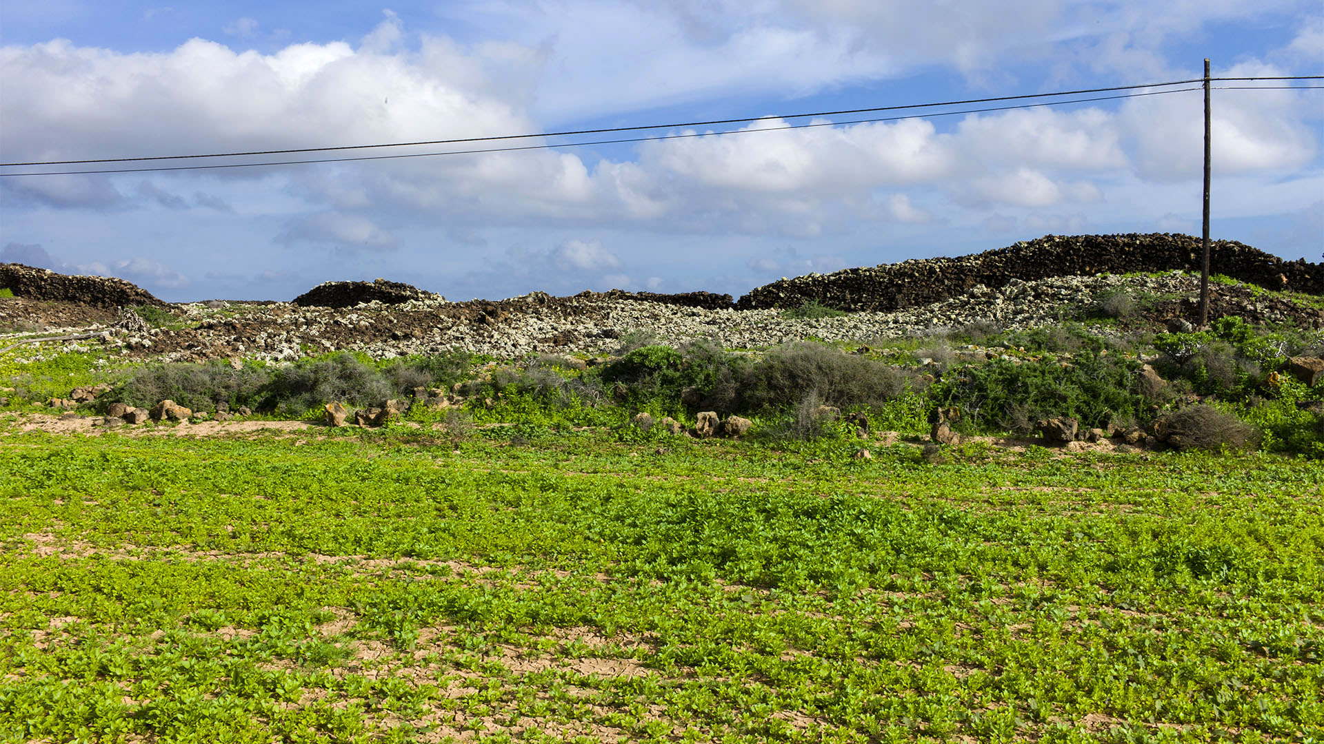 Das campo von Lajares Fuerteventura.