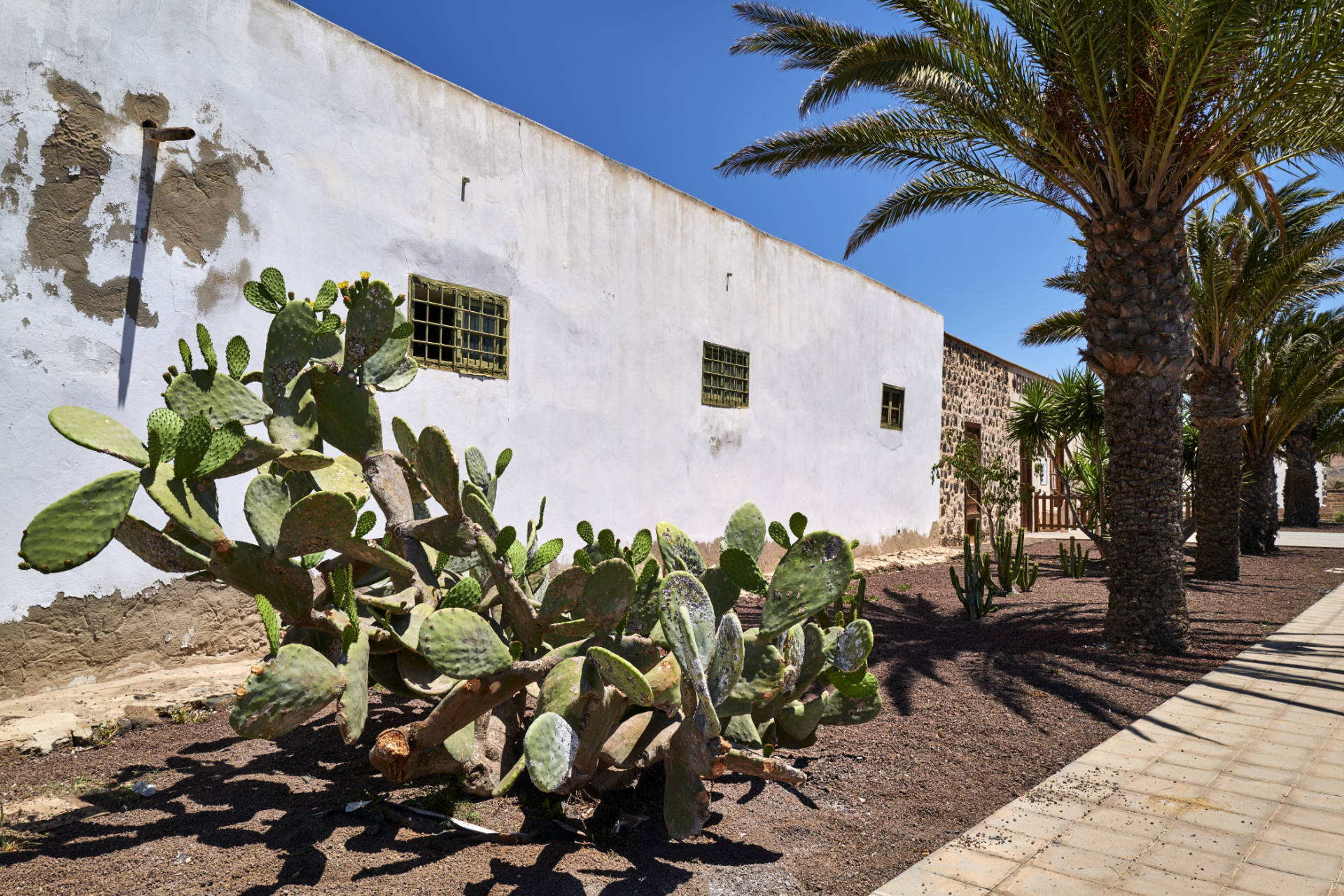 Die Stadt La Oliva auf Fuerteventura.