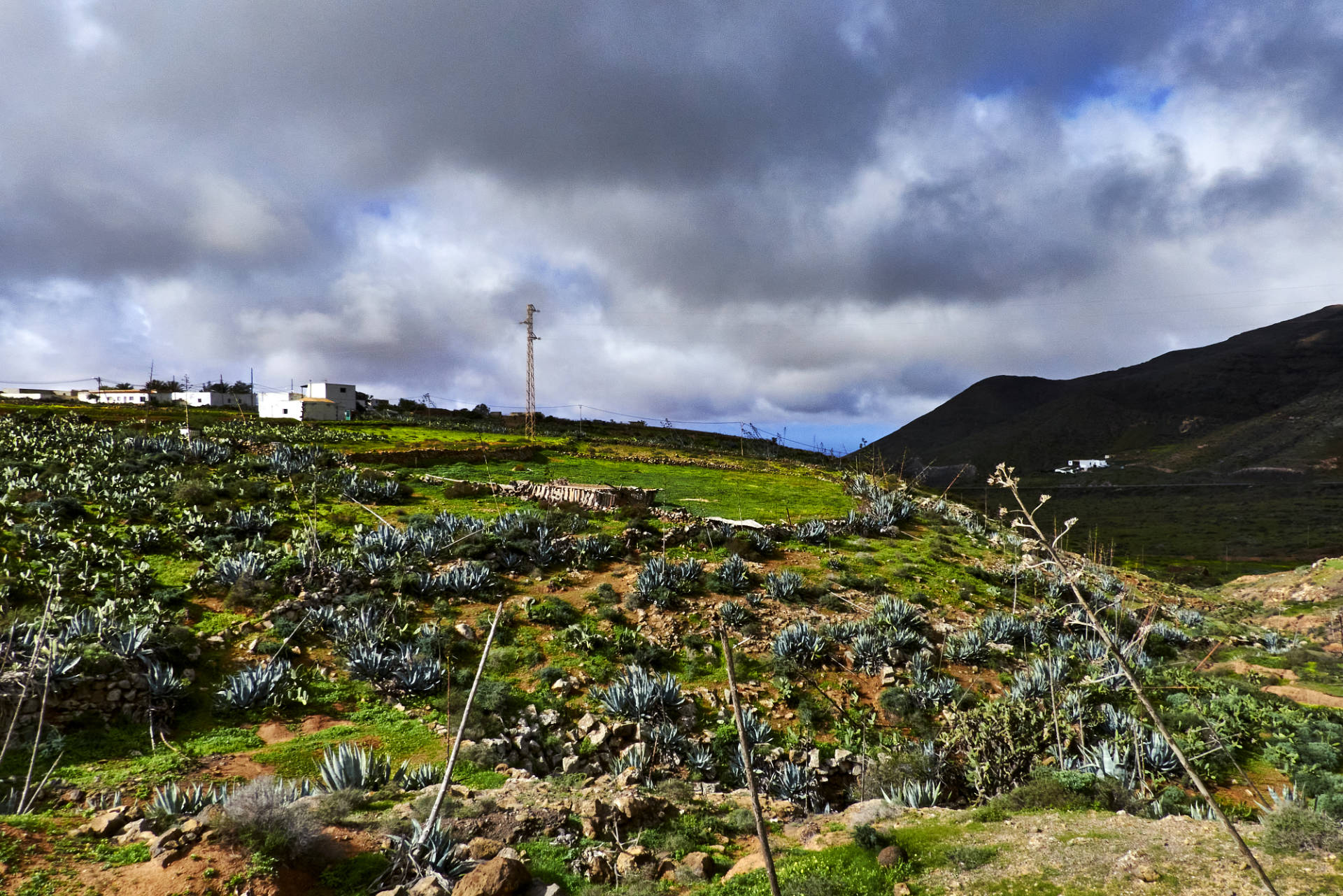 Die Landwirtschaft von La Matilla Fuerteventura.
