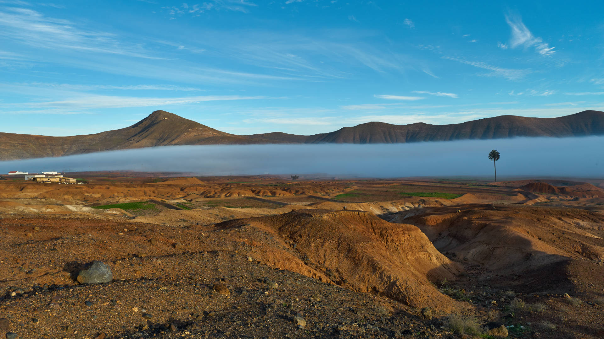 Morgennebel über den Gavias von La Matilla Fuerteventura.