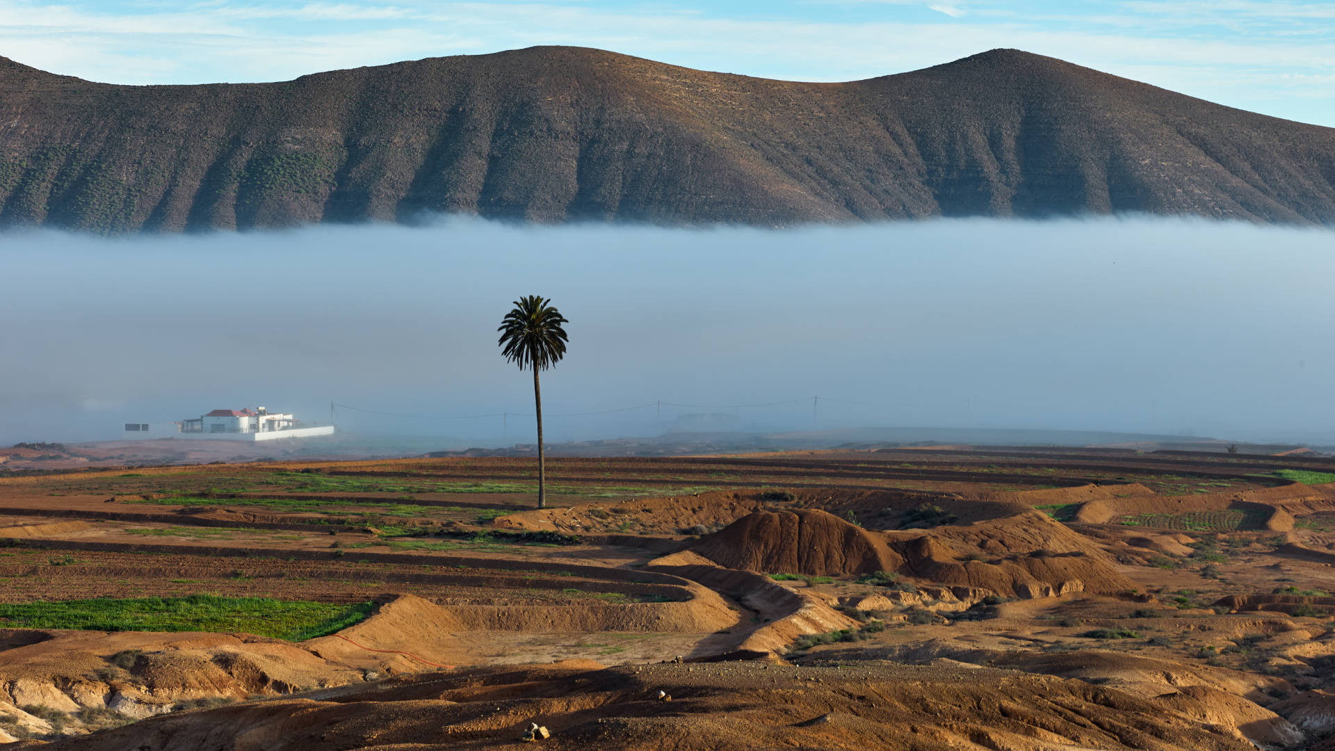 Morgennebel über den Gavias von La Matilla Fuerteventura.