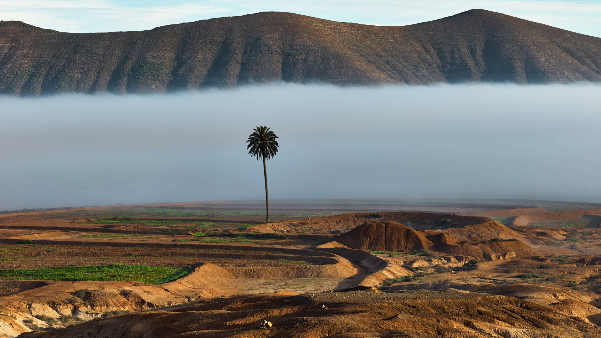 Morgennebel über den Gavias von La Matilla Fuerteventura.