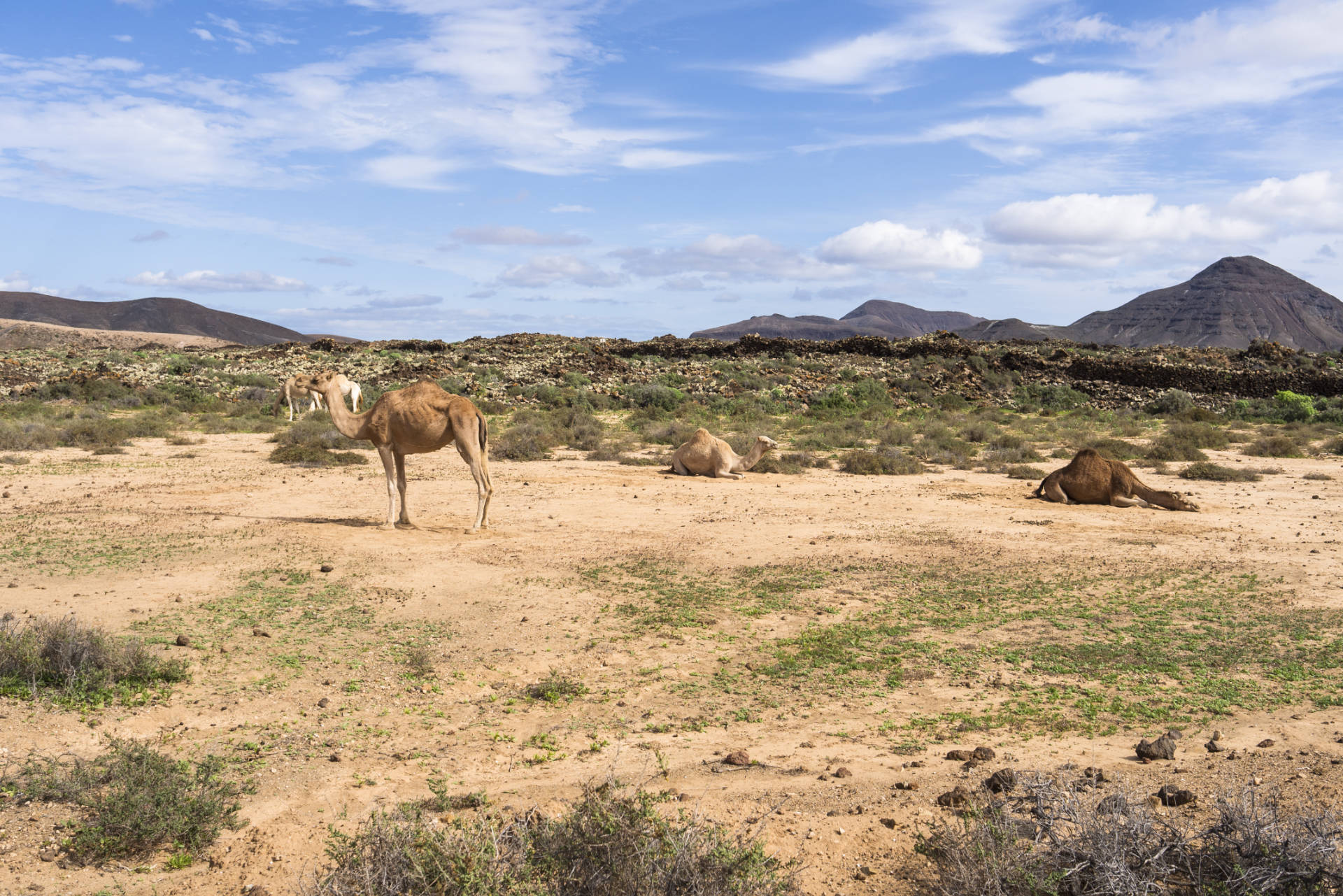 Der Ort Tuineje auf Fuerteventura.