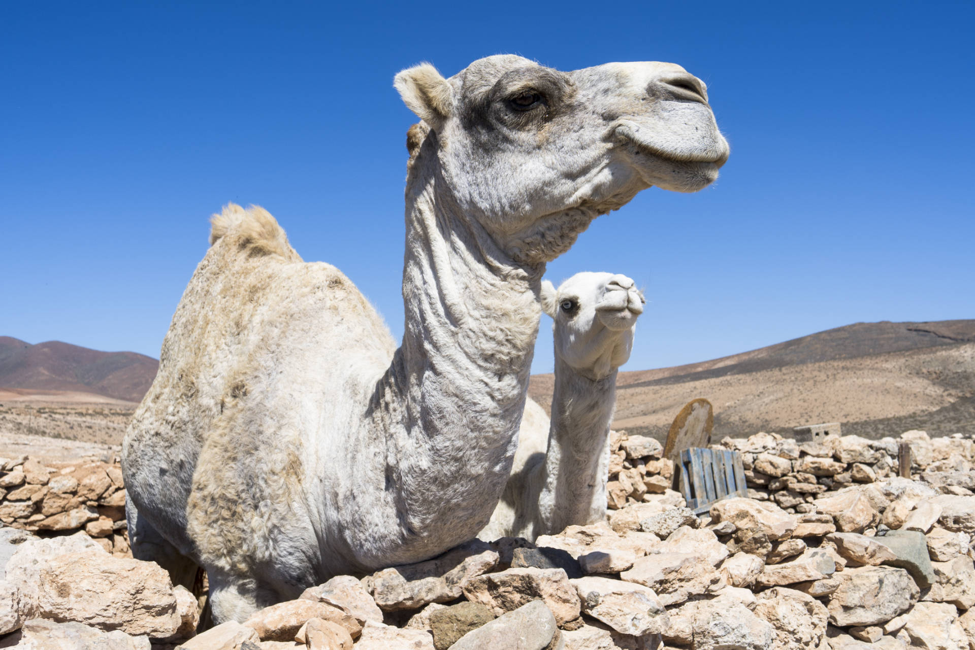 Der Ort Tuineje auf Fuerteventura.