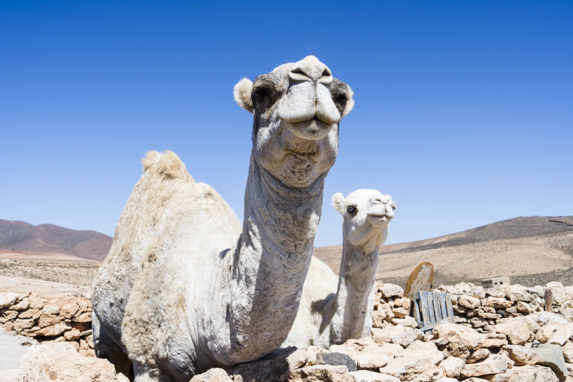 Der Ort Tuineje auf Fuerteventura.