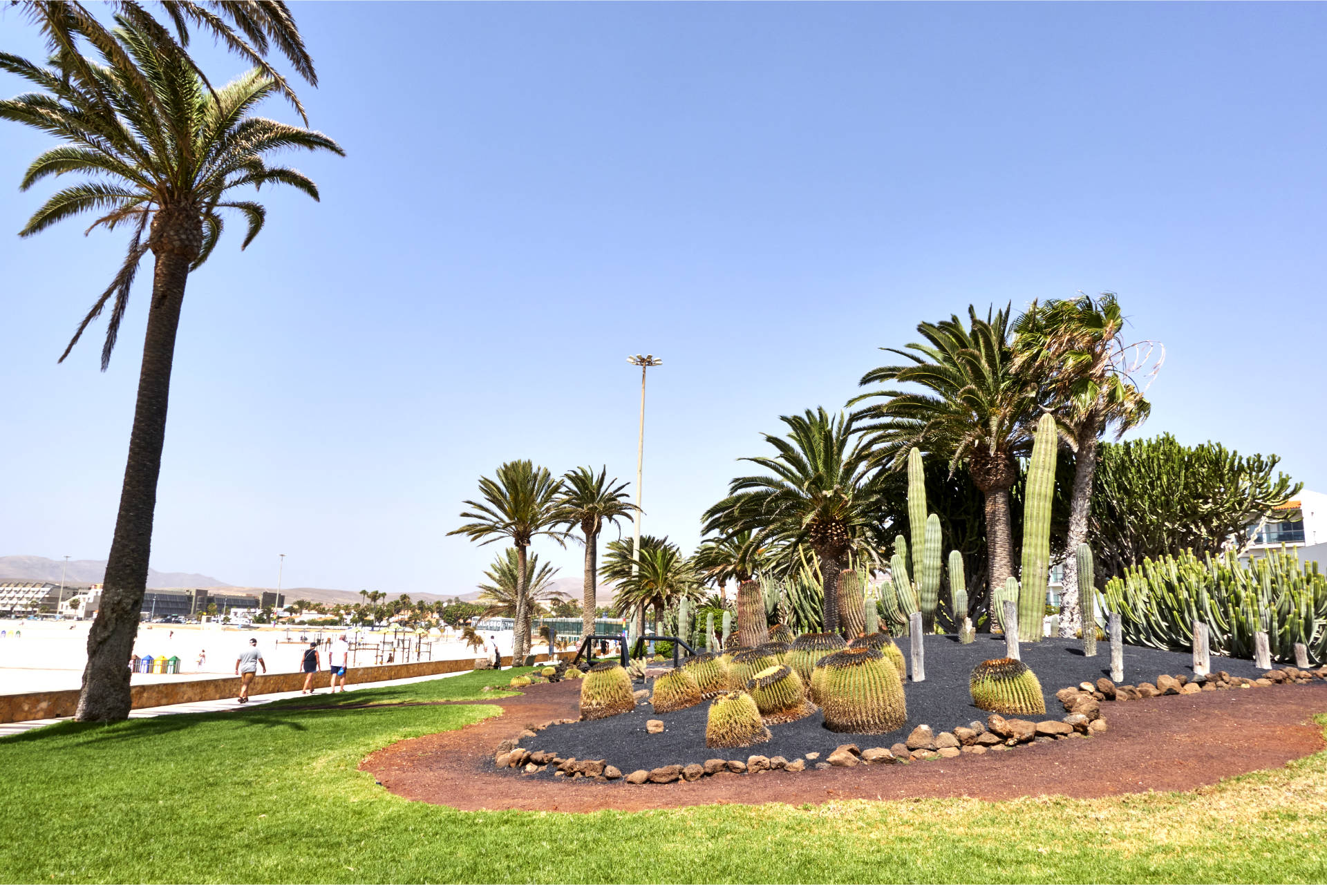 Caleta de Fuste Fuerteventura.