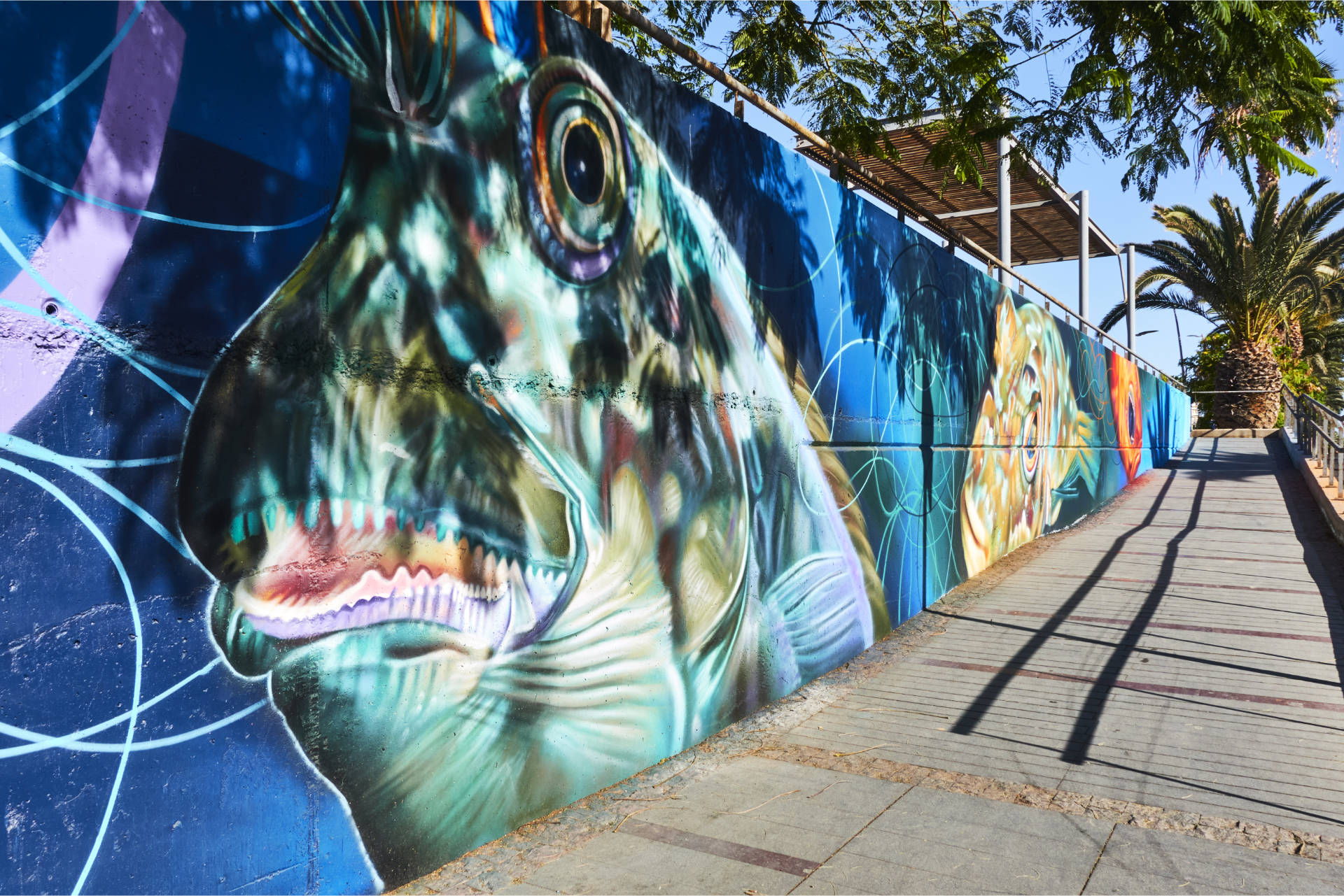 Street Art Projekt Mar, Tierra y Aire de Fuerteventura – Matías Mata Garcia aka Sabotaje al Montaje.