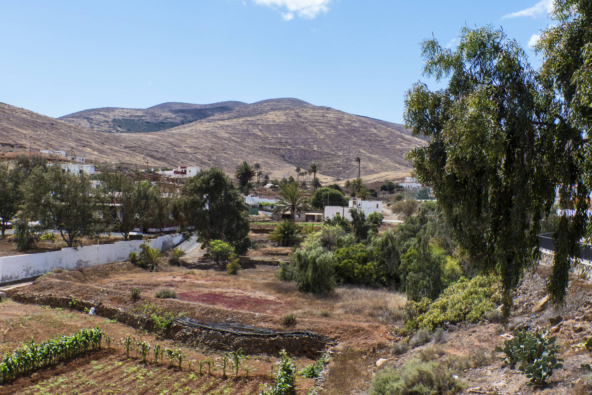 Barranco los Almácigos y Barranco del Garabato Agua de Bueyes Fuerteventura.