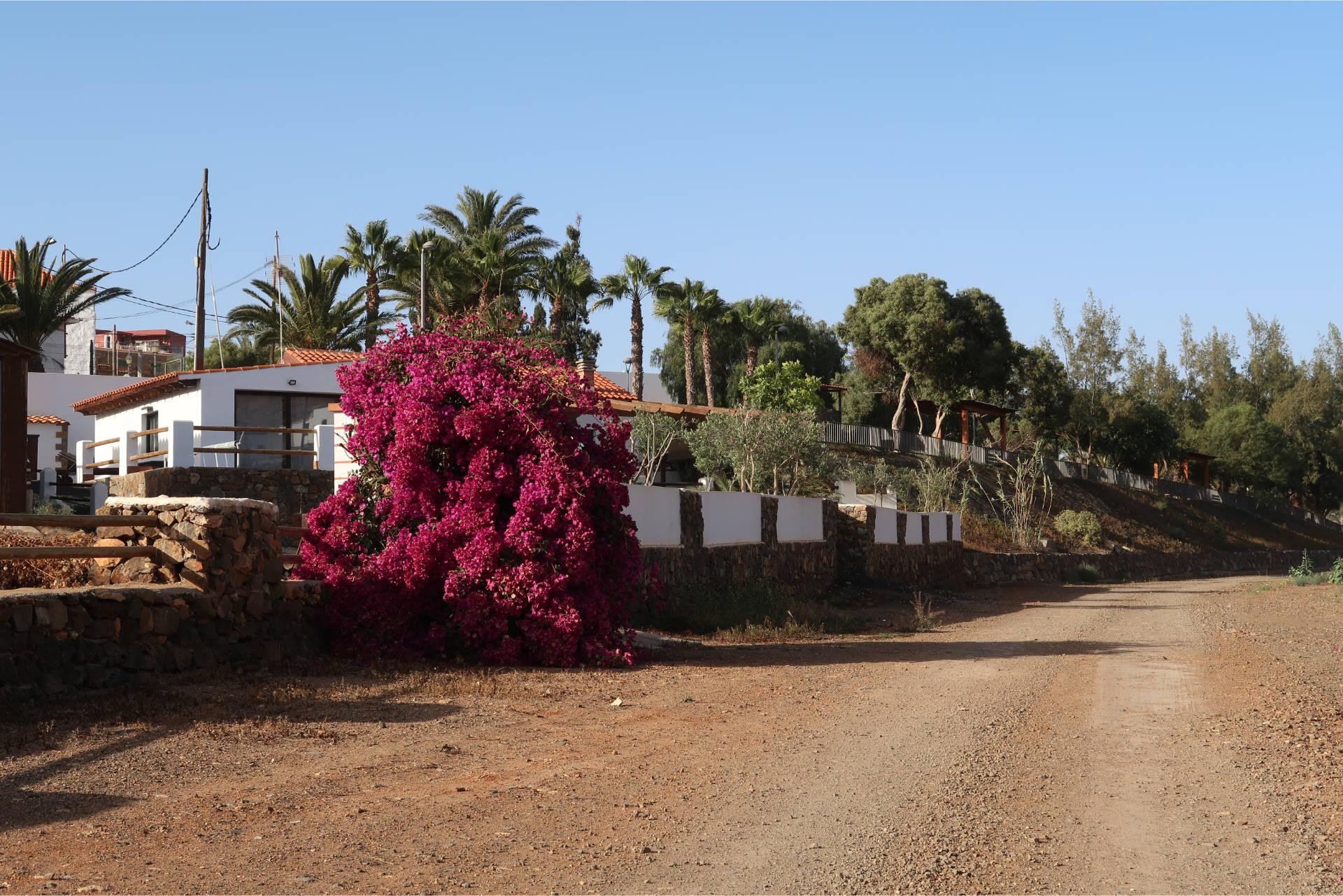 Barranco los Almácigos y Barranco del Garabato Agua de Bueyes Fuerteventura.