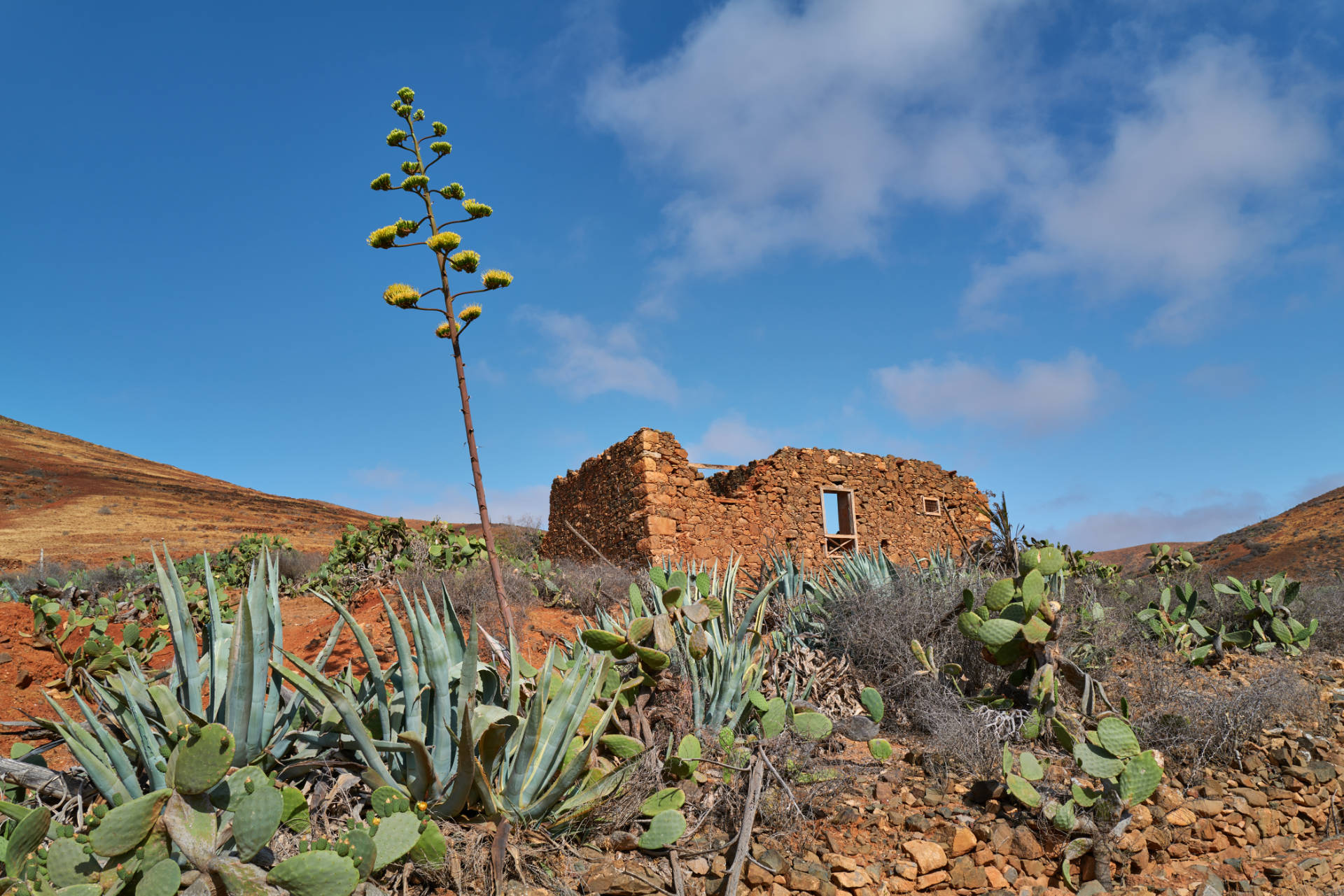 Barranco los Almácigos y Barranco del Garabato Agua de Bueyes Fuerteventura.