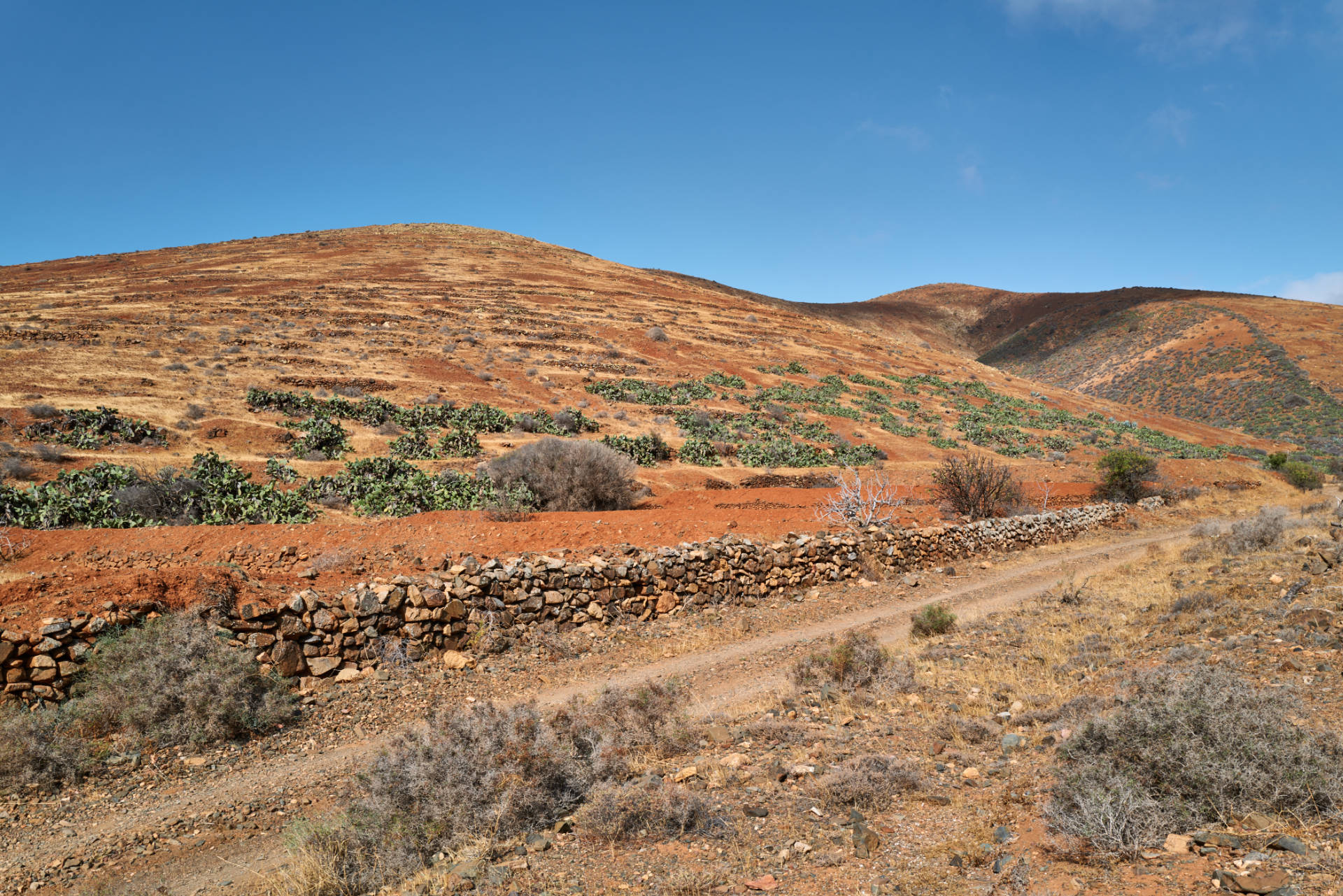 Barranco los Almácigos y Barranco del Garabato Agua de Bueyes Fuerteventura.