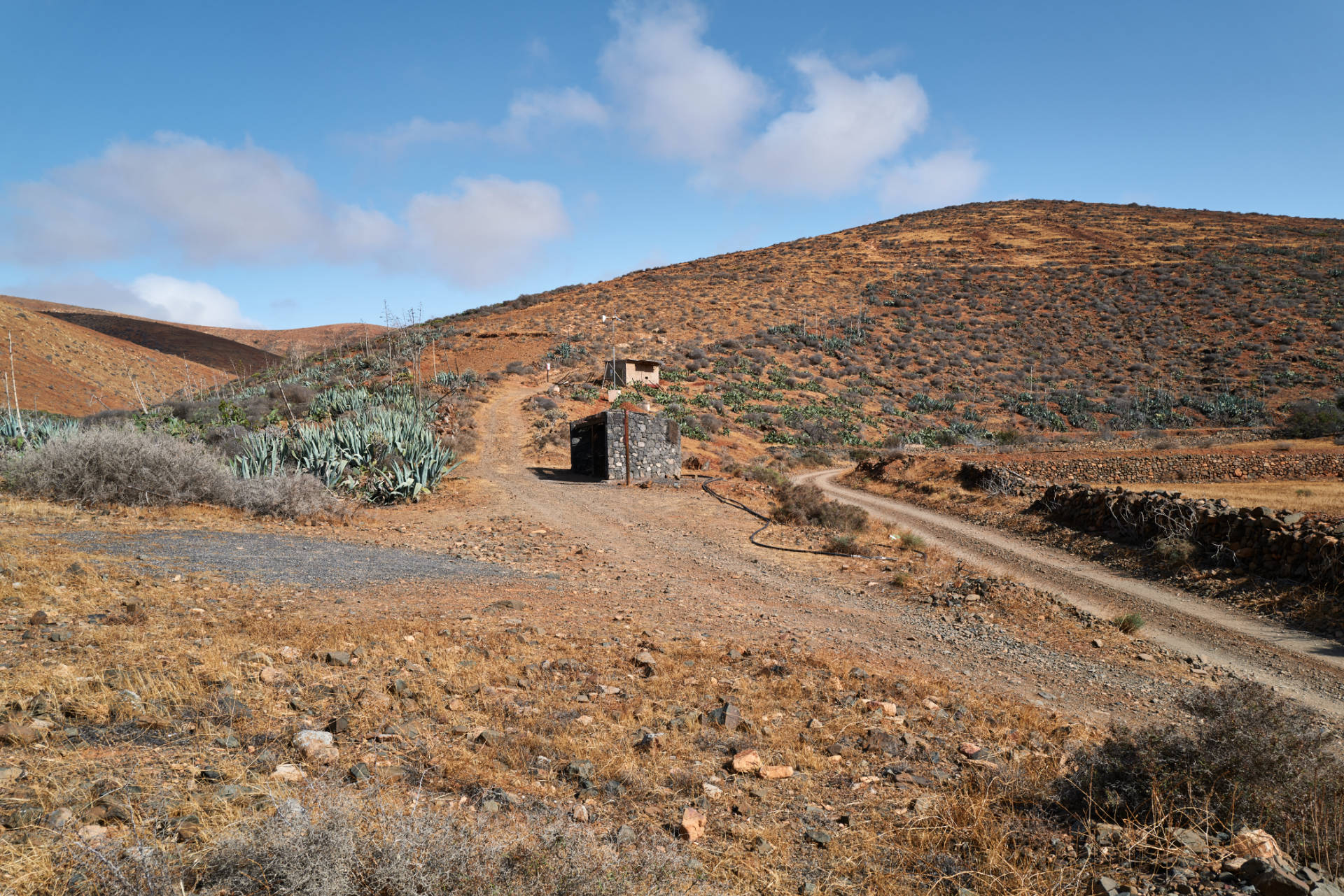 Barranco los Almácigos y Barranco del Garabato Agua de Bueyes Fuerteventura.