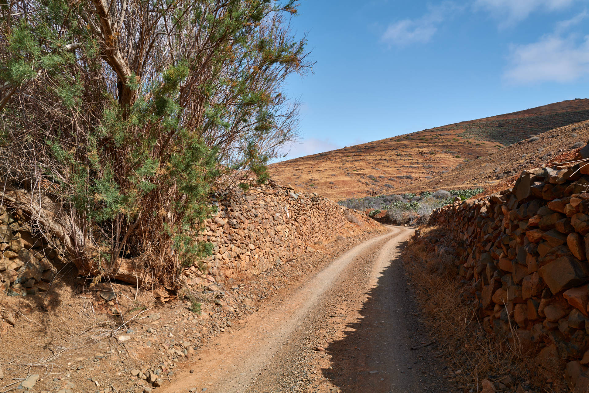 Barranco los Almácigos y Barranco del Garabato Agua de Bueyes Fuerteventura.