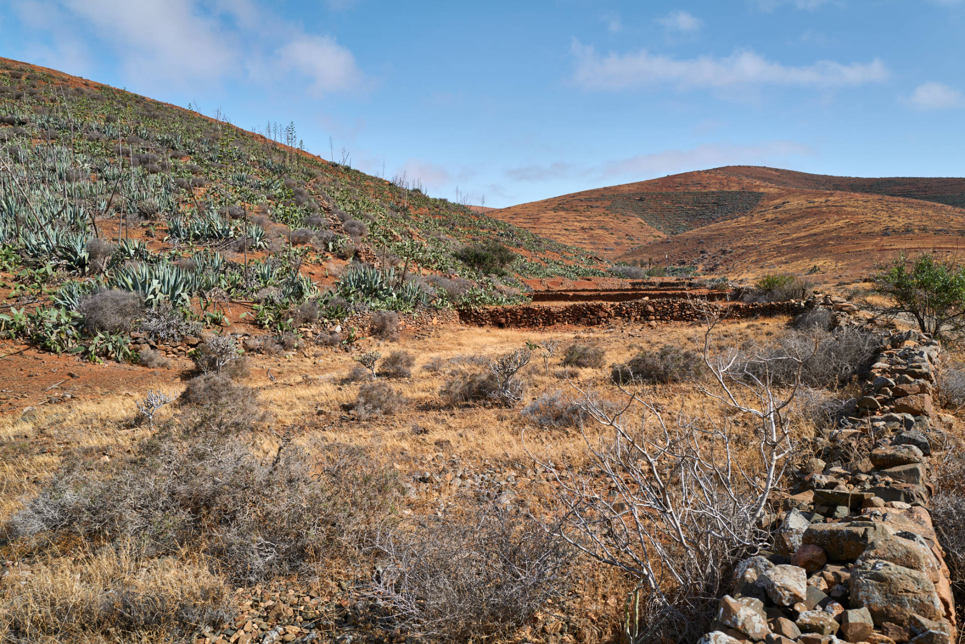 Barranco los Almácigos y Barranco del Garabato Agua de Bueyes Fuerteventura.