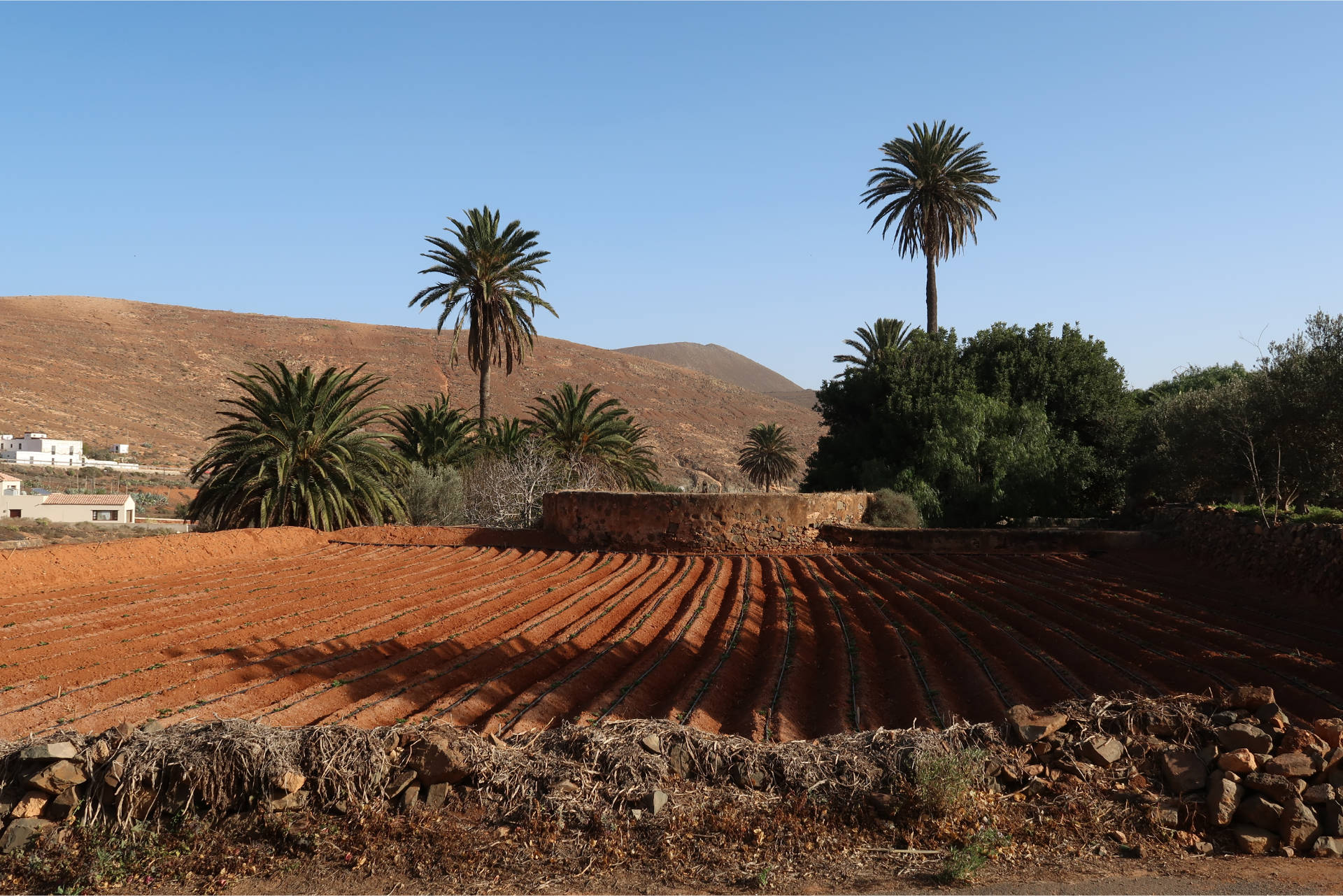 Agua de Bueyes Fuerteventura.