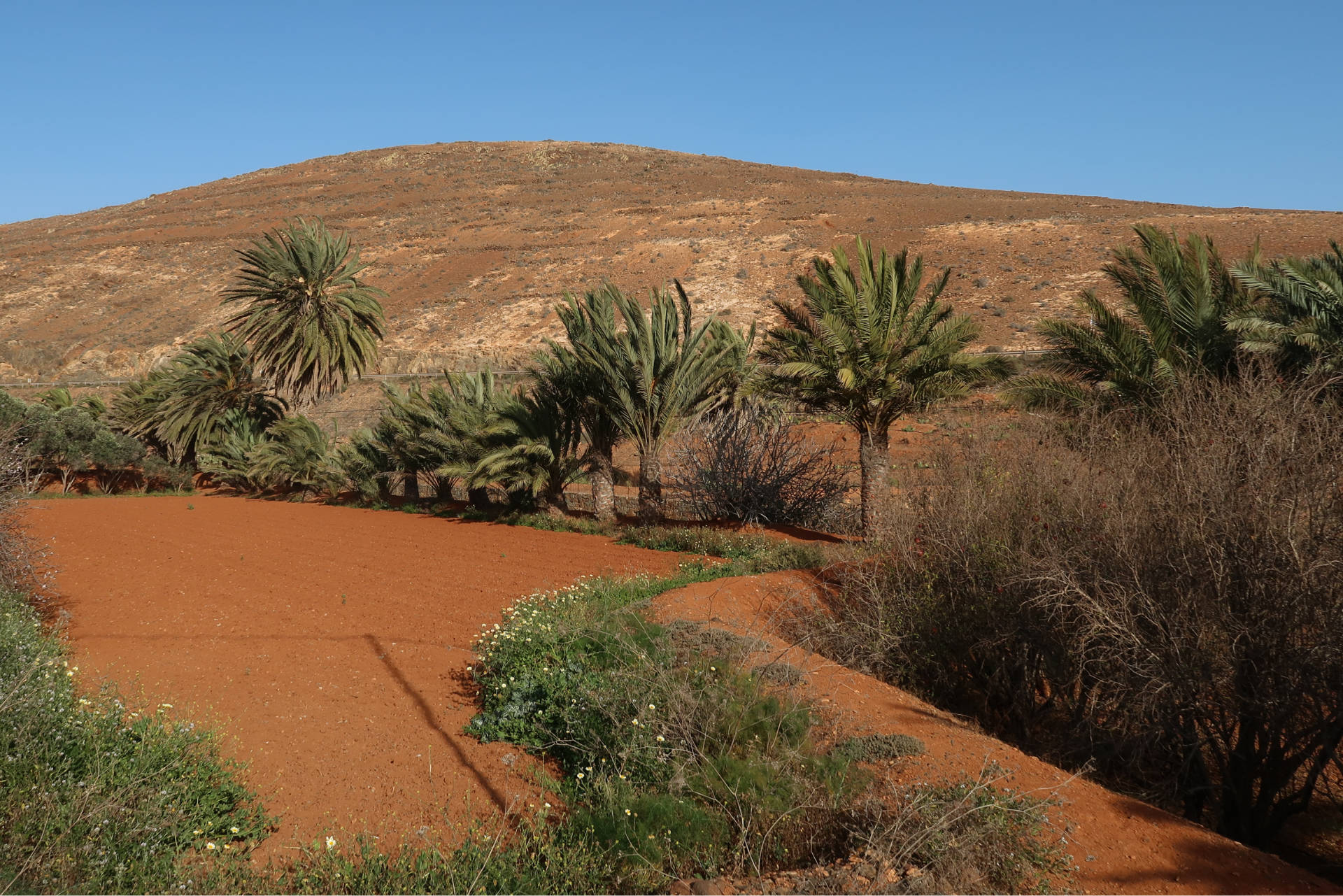 Agua de Bueyes Fuerteventura.