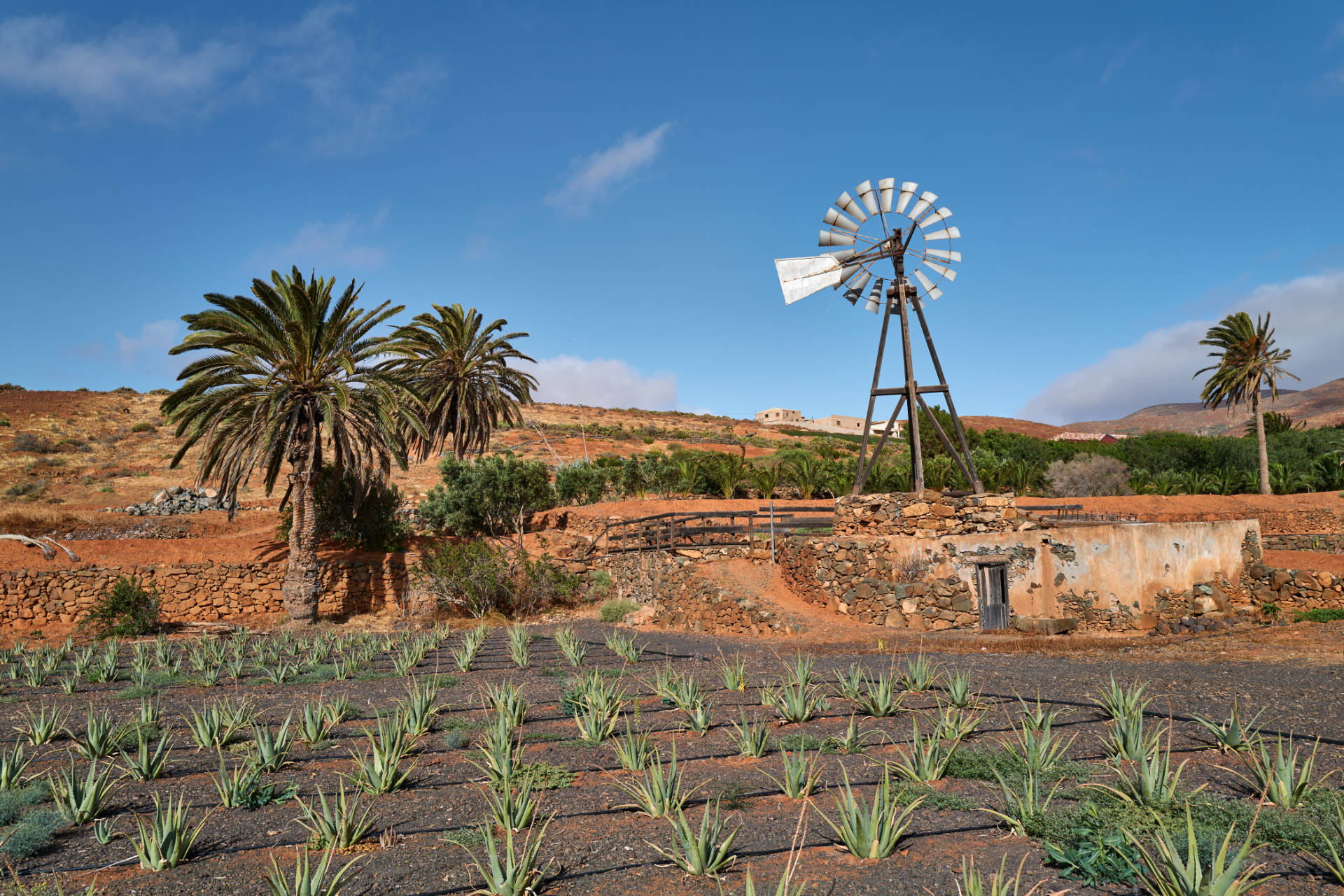 Agua de Bueyes Fuerteventura.