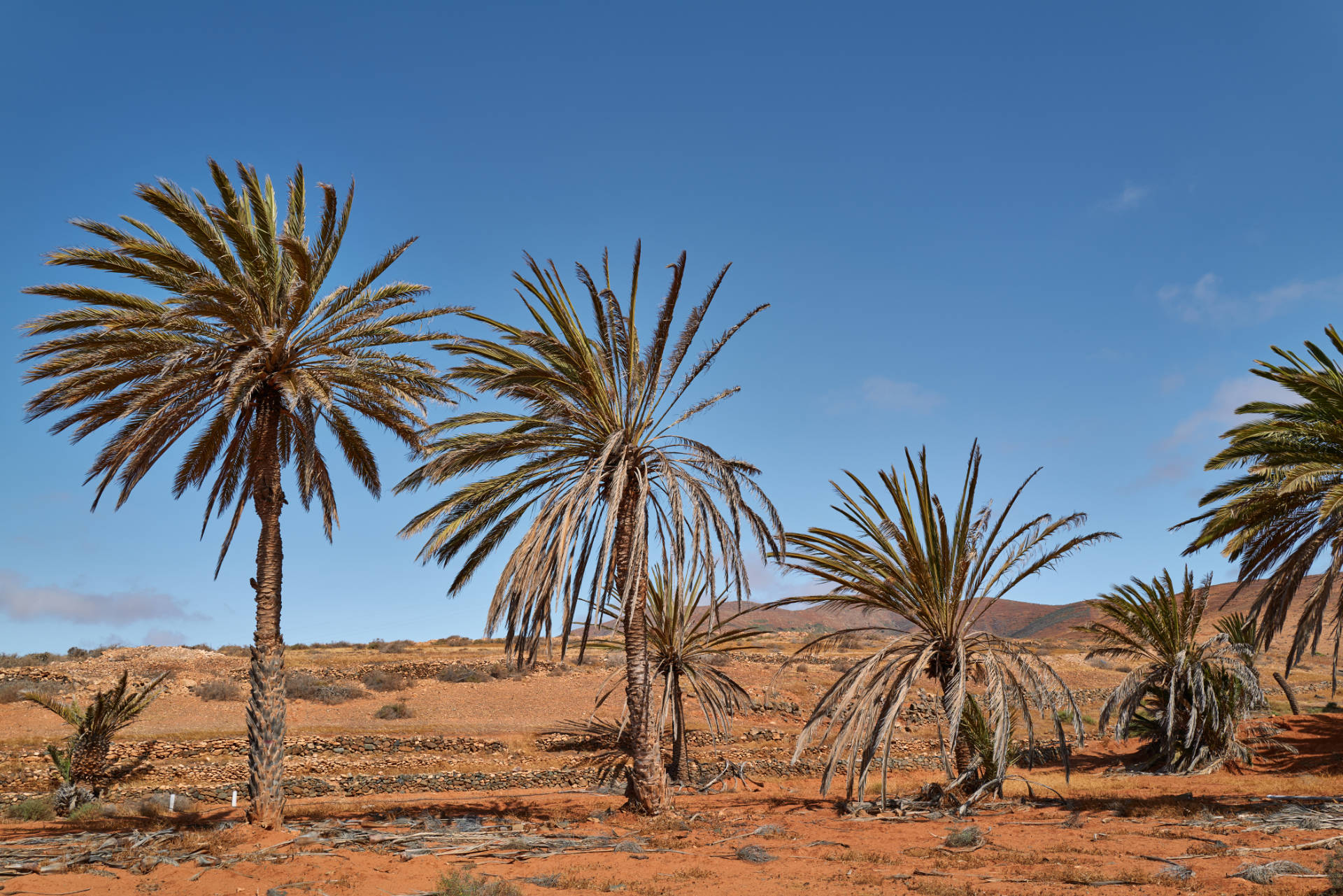 Agua de Bueyes Fuerteventura.