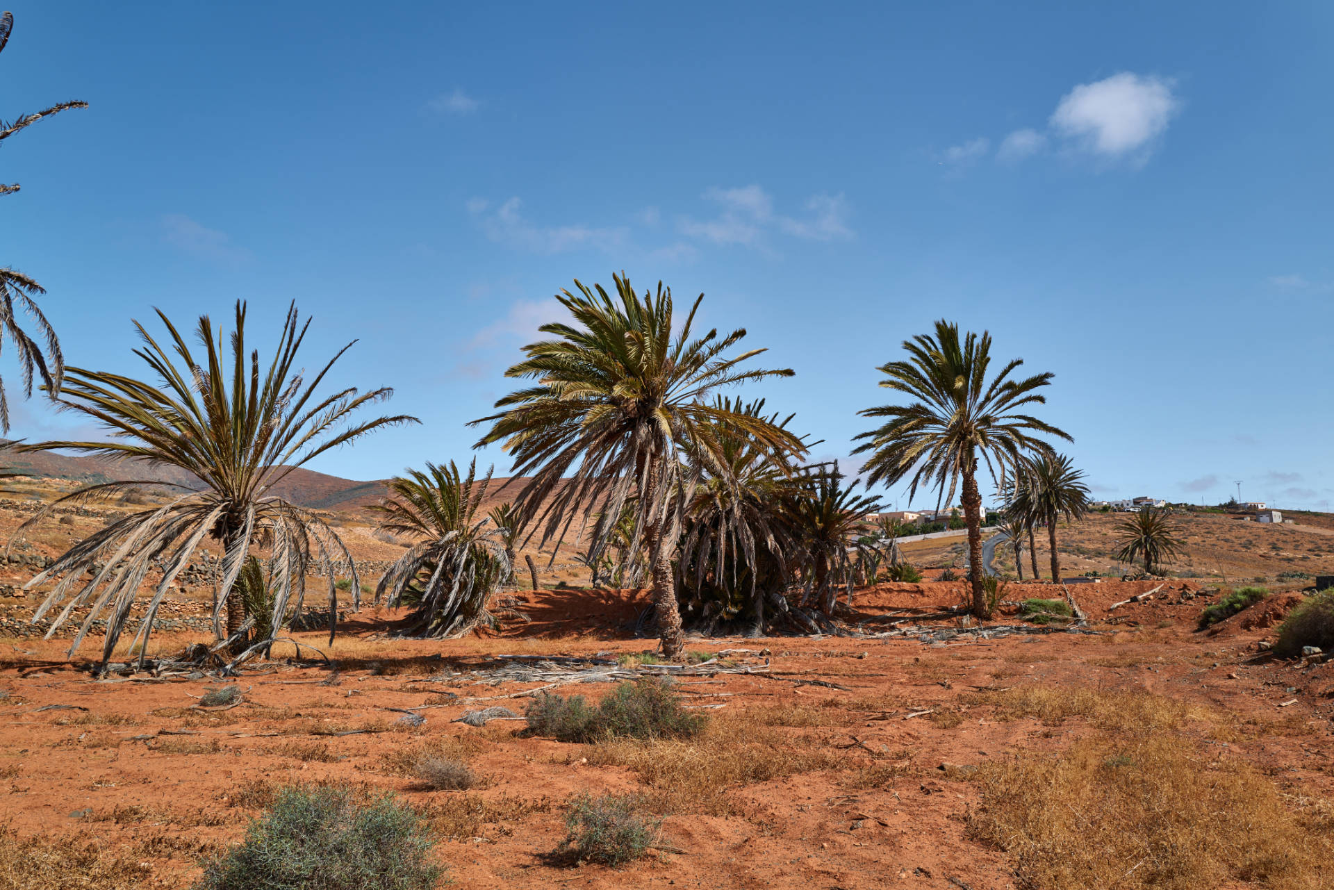 Agua de Bueyes Fuerteventura.